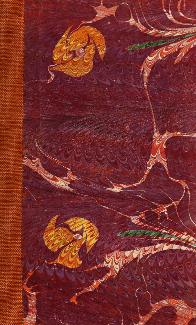 No text description is available for this image