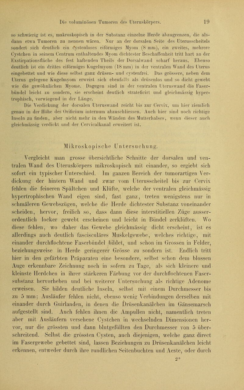 so schwierig ist es, makroskopisch in der Substanz einzelne Herde abzugrenzen, die als- dann etwa Tumoren zu nennen wären. Nur an der dorsalen Seite des Uterusscheitels sondert sich deutlich ein (Jystenloses eiförmiges Myom (8 mm), ein zweites, mehrere Cystchen in seinem Centrum enthaltendes Myom dichtester Beschaffenheit tritt hart an der Exstirpationsfläche des fest haftenden Theils der Dorsalwand scharf heraus. Ebenso deutlich ist ein drittes eiförmiges Kugelmyom (18 mm) in der ventralen Wand des Uterus eingebettet und wie diese selbst ganz drüsen- und cystenfrei. Das grössere, neben dem Uterus gelegene Kugelmyom erweist sich ebenfalls als drüsenlos und so dicht gewebt wie die gewöhnlichen Myome. Dagegen sind in der ventralen Uteruswand die Faser- bündel leicht zu sondern, sie erscheint deutlich strateficirt und gleichmässig hyper- trophisch, vorwiegend in der Länge. Die Verdickung der dorsalen Uteruswand reicht Ins zur Cervix, um hier ziemlich genau in der Höhe des Orificium internum abzuschliessen. Auch hier sind noch richtige Inseln zu finden, aber nicht mehr in den Wänden des Mutterhalses, wenn dieser auch gleichmässig; verdickt und der Cervicalkanal erweitert ist. Mikroskopische Untersuchung. Vergleicht man grosse übersichtliche Schnitte der dorsalen und ven- tralen Wand des Uteruskörpers mikroskopisch mit einander, so ergiebt sich sofort ein typischer Unterschied. Im ganzen Bereich der tumorartigen Ver- dickung der hintern Wand und zwar vom Uterusscheitel bis zur Cervix fehlen die feineren Spältcben und Klüfte, welche der ventralen gleichmässig hypertrophischen Wand eigen sind, fast ganz, treten wenigstens nur in schmäleren Gewebszügen, welche die Herde dichtester Substanz voneinander scheiden, hervor, freilich so, dass dann diese interstitiellen Züge ausser- ordentlich locker gewebt erscheinen und leicht in Bündel zerklüften. Wo diese fehlen, wo daher das Gewebe gleichmässig dicht erscheint, ist es allerdings auch deutlich fascisculäres Muskelgewebe, welches richtige, mit einander durchflochtene Faserbündel bildet, und schon im Grossen in Felder, beziehungsweise in Herde geringerer Grösse zu sondern ist. Endlich tritt hier in den gefärbten Präparaten eine besondere, selbst schon dem blossen Auge erkennbare Zeichnung noch in sofern zu Tage, als sich kleinere und kleinste Herdchen in ihrer stärkeren Färbung vor der durchflochtenen Faser- substanz hervorheben und bei weiterer Untersuchung als richtige Adenome erweisen. Sie bilden deutliche Inseln, selbst mit einem Durchmesser bis zu 5 mm; Ausläufer fehlen nicht, ebenso wenig Verbindungen derselben mit einander durch Guhianden, in denen die Drüsenkanälcben im Gänsemarsch aufgestellt sind. Auch fehlen ihnen die Ampullen nicht, namentlich treten aber mit Ausläufern versehene Cystchen in wechselnden Dimensionen her- vor, nur die grössten und dann blutgefüllten den Durchmesser von 5 über- schreitend. Selbst die grössten Cysten, auch diejenigen, welche ganz direct im Fasergewebe gebettet sind, lassen Beziehungen zu Drüsenkanälchen leicht erkennen, entweder durch ihre rundlichen Seitenbuchten und Aeste, oder durch