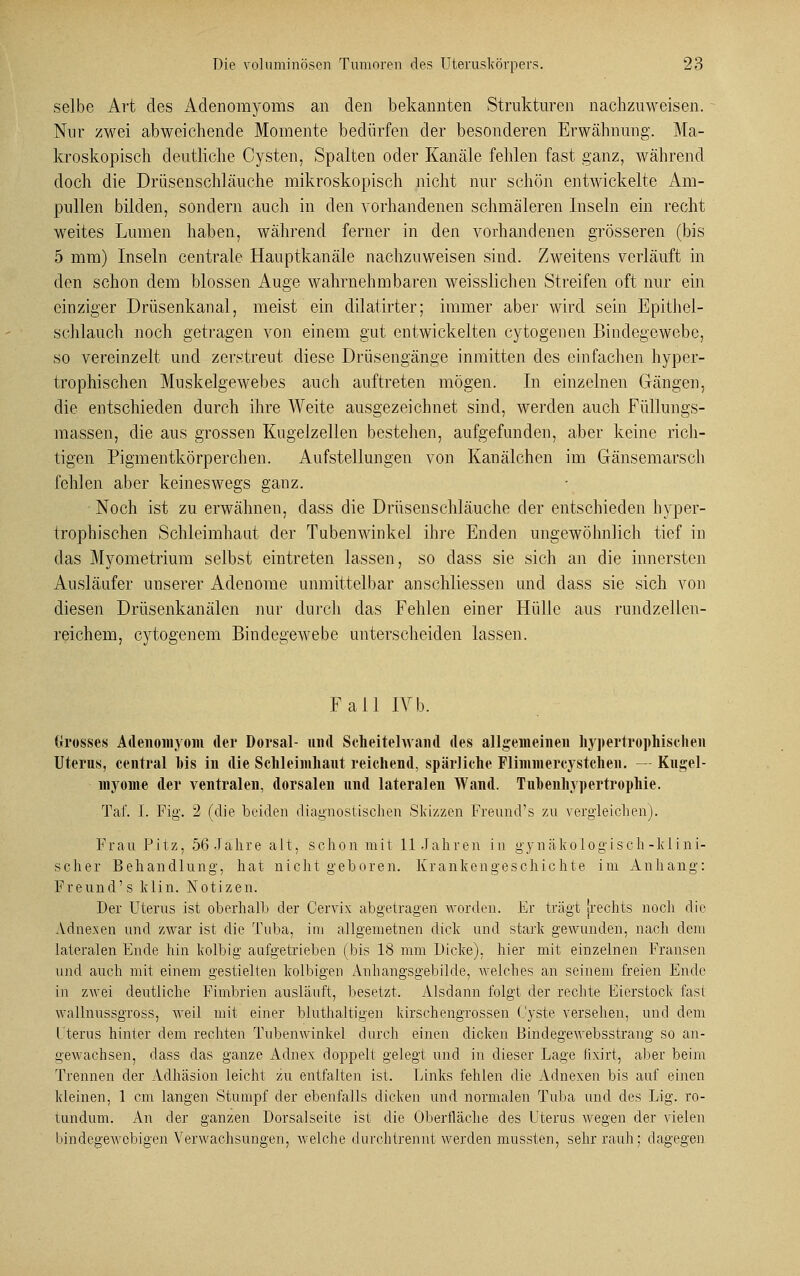 selbe Art des Adenomyoms an den bekannten Strukturen nachzuweisen. Nur zwei abweichende Momente bedürfen der besonderen Erwähnung. Ma- kroskopisch deutliche Cysten, Spalten oder Kanäle fehlen fast ganz, während doch die Drüsenschläuche mikroskopisch nicht nur schön entwickelte Am- pullen bilden, sondern auch in den vorhandenen schmäleren Inseln ein recht weites Lumen haben, während ferner in den vorhandenen grösseren (bis 5 mm) Inseln centrale Hauptkanäle nachzuweisen sind. Zweitens verläuft in den schon dem blossen Auge wahrnehmbaren weisslichen Streifen oft nur ein einziger Drüsenkanal, meist ein dilatirter; immer aber wird sein Epithel- schlauch noch getragen von einem gut entwickelten cytogenen Bindegewebe, so vereinzelt und zerstreut diese Drüsengänge inmitten des einfachen hyper- trophischen Muskelgewebes auch auftreten mögen. In einzelnen Gängen, die entschieden durch ihre Weite ausgezeichnet sind, werden auch Füllungs- massen, die aus grossen Kugeizellen bestehen, aufgefunden, aber keine rich- tigen Pigmentkörperchen. Aufstellungen von Kanälchen im Gänsemarsch fehlen aber keineswegs ganz. Noch ist zu erwähnen, dass die Drüsenschläuche der entschieden hyper- trophischen Schleimhaut der Tubenwinkel ihre Enden ungewöhnlich tief in das Myometrium selbst eintreten lassen, so dass sie sich an die innersten Ausläufer unserer Adenome unmittelbar anschliessen und dass sie sich von diesen Drüsenkanälen nur durch das Fehlen einer Hülle aus rundzellen- reichem, cytogenem Bindegewebe unterscheiden lassen. Fall IVb. Grosses Adenomyom der Dorsal- und Scheitelwand des allgemeinen hypertrophischen Uterus, central his in die Schleimhaut reichend, spärliche Flimmercystchen. — Kugel- myoine der ventralen, dorsalen und lateralen Wand. Tubenhypertrophie. Taf. I. Fig. 2 (die beiden diagnostischen Skizzen Freund's zu vergleichen). Frau Ritz, 56 Jahre alt, schon mit 11.Jahren iu gynäkologisch-kl ini- scher Behandlung, hat nicht geboren. Krankengeschichte im Anhang: Freund's klin. Notizen. Der Uterus ist oberhalb der Cervix abgetragen worden. Er trägt jrechts noch die Adnexen und zwar ist die Tuba, im allgemeinen dick und stark gewunden, nach dem lateralen Ende hin kolbig aufgetrieben (Ins 18 mm Dicke), hier mit einzelnen Fransen und auch mit einem gestielten kolbigen Anhangsgebilde, welches an seinem freien Ende in zwei deutliche Fimbrien ausläuft, besetzt. Alsdann folgt der rechte Eierstock fast wallnussgross, weil mit einer bluthaltigen kirschengrossen Cyste versehen, und dem Uterus hinter dem rechten Tubenwinkel durch einen dicken Bindegewebsstrang so an- gewachsen, dass das ganze Adnex doppelt gelegt und in dieser Lage fixirt, aber beim Trennen der Adhäsion leicht zu entfalten ist. Links fehlen die Adnexen bis auf einen kleinen, 1 cm langen Stumpf der ebenfalls dicken und normalen Tuba und des Lig. ro- tundum. An der ganzen Dorsalseite ist die Oberfläche des Uterus wegen der vielen bindegewebigen Verwachsungen, welche durch trennt werden mussten, sehr rauh; dagegen
