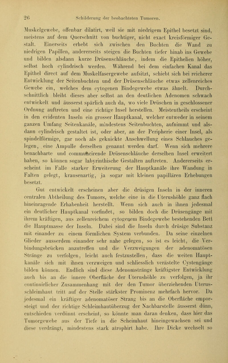 Muskelgewebe, offenbar dilatirt, weil sie mit niedrigem Epithel besetzt sind, meistens auf dem Querschnitt von buchtiger, nicht exact kreisförmiger Ge- stalt, Einerseits erhebt sich zwischen den Buchten die Wand zu niedrigen Papillen, andererseits steigen die Buchten tiefer hinab ins Gewebe und bilden alsdann kurze Drüsenschläuche, indem die Epithelien höher, selbst hoch cylindrisch werden. Während bei dem einfachen Kanal das Epithel direct auf dem Muskelfasergewebe aufsitzt, schiebt sich bei reicherer Entwicklung der Seitenbuchten und der Drüsenschläuche etwas zellenreiches Gewebe ein, welches dem cytogenen Bindegewebe etwas ähnelt. Durch- schnittlich bleibt dieses aber selbst an den deutlichen Adenomen schwach entwickelt und äusserst spärlich auch da, wo viele Drüschen in geschlossener Ordnung auftreten und eine richtige Insel herstellen. Meistenteils erscheint in den evidenten Inseln ein grosser Hauptkanal, welcher entweder in seinem ganzen Umfang Seitenkanäle, mindestens Seitenbuchten, aufnimmt und als- dann cylindrisch gestaltet ist, oder aber, an der Peripherie einer Insel, als spindelförmige, gar noch als geknickte Anschwellung eines Schlauches ge- legen, eine Ampulle derselben genannt werden darf. Wenn sich mehrere benachbarte und commuftcirende Drüsenschläuche derselben Insel erweitert haben, so können sogar labyrinthische Gestalten auftreten. Andererseits er- scheint im Falle starker Erweiterung der Hauptkanäle ihre Wandung in Falten gelegt, krausenartig, ja sogar mit kleinen papillären Erhebungen besetzt. Gut entwickelt erscheinen aber die drüsigen Inseln in der inneren centralen Abtheilung des Tumors, welche eine in die Uterushöhle ganz flach hineinragende Erhabenheit herstellt. Wenn sich auch in ihnen jedesmal ein deutlicher Hauptkanal vorfindet, so bilden doch die Drüsengänge mit ihrem kräftigen, aus zellenreichem cytogenem Bindegewebe bestehenden Bett die Hauptmasse der Inseln. Dabei sind die Inseln durch drüsige Substanz mit einander zu einem förmlichen System verbunden. Da seine einzelnen Glieder ausserdem einander sehr nahe gelegen, so ist es leicht, die Ver- bindungsbrücken anzutreffen und die Verzweigungen der adenomatösen Stränge zu verfolgen, leicht auch festzustellen, dass die weiten Haupt- kanäle sich mit ihnen verzweigen und schliesslich verästelte Cystengänge bilden können. Endlich sind diese Adenomstränge kräftigster Entwicklung auch bis an die innere Oberfläche der Uterushöhle zu verfolgen, ja ihr continuirlicher Zusammenhang mit der den Tumor überziehenden Uterus- schlcimhaul tritt auf der Stelle stärkster Prominenz mehrfach hervor. Da jedesmal ein kräftiger adenomatöser Strang bis an die Oberfläche empor- steigt und der richtige Schleimhautüberzug der Nachbarstelle äusserst dünn, entschieden verdünnt erscheint, so könnte man daran denken, dass hier das Tumorgewebe aus der Tiefe in die Scheimhaut hineingewachsen sei und fliese verdrängt, mindestens stark atrophirt habe. Ihre Dicke wechselt so