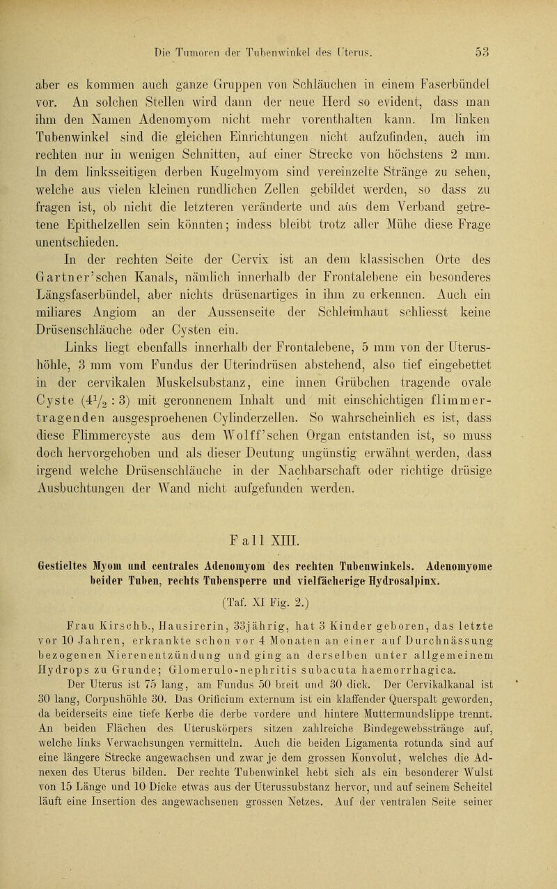 aber es kommen auch ganze Gruppen von Schläuchen in einem Faserbündel vor. An solchen Stellen wird dann der neue Herd so evident, dass man ihm den Namen Adenomyom nicht mehr vorenthalten kann. Im linken Tubenwinkel sind die gleichen Einrichtungen nicht aufzufinden, auch im rechten nur in wenigen Schnitten, auf einer Strecke von höchstens 2 mm. In dem linksseitigen derben Kugelmyom sind vereinzelte Stränge zu sehen, welche aus vielen kleinen rundlichen Zellen gebildet werden, so dass zu fragen ist, ob nicht die letzteren veränderte und aus dem Verband getre- tene Epithelzellen sein könnten; indess bleibt trotz aller Mühe diese Frage unentschieden. In der rechten Seite der Cervix ist an dem klassischen Orte des Gärtner'sehen Kanals, nämlich innerhalb der Frontalebene ein besonderes Längsfaserbündel, aber nichts drüsenartiges in ihm zu erkennen. Auch ein miliares Angiom an der Aussenseite der Schleimhaut schliesst keine Drüsenschläuche oder Cysten ein. Links liegt ebenfalls innerhalb der Frontalebene, 5 mm von der Uterus- höhle, 3 mm vom Fundus der Uterindrüsen abstehend, also tief eingebettet in der cervikalen Muskelsubstanz, eine innen Grübchen tragende ovale Cyste (4y2 : 3) mit geronnenem Inhalt und mit einschichtigen flimmer- tragenden ausgesprochenen Cylinderzellen. So wahrscheinlich es ist, dass diese Flimmercyste aus dem Wolff sehen Organ entstanden ist, so muss doch hervorgehoben und als dieser Deutung ungünstig erwähnt werden, dass irgend welche Drüsenschläuche in der Nachbarschaft oder richtige drüsige Ausbuchtungen der Wand nicht aufgefunden werden. Fall XIII. Gestieltes Myom und centrales Adenomyom des rechten Tnbenwinkels. Adenomyome beider Tuben, rechts Tnbensperre und vielfächerige Hydrosalpinx. (Taf. XI Fig. 2.) Frau Kirschb., Hausirerin, 33jährig, hat 3 Kinder geboren, das letzte vor 10 Jahren, erkrankte schon vor 4 Monaten an einer auf Durchnässung bezogenen Nierenentzündung und ging an derselben unter allgemeinem. Hydrops zu Grunde; Glomerulo-nephritis subacuta haemorrhagica. Der Uterus ist 75 lang, am Fundus 50 breit und 30 dick. Der Cervikalkanal ist 30 lang, Corpushöhle 30. Das Orificium externum ist ein klaffender Querspalt geworden, da beiderseits eine tiefe Kerbe die derbe vordere und hintere Muttermundslippe trennt. An beiden Flächen des Uteruskörpers sitzen zahlreiche Bindegewebsstränge auf, welche links Verwachsungen vermitteln. Auch die beiden Ligamenta rotunda sind auf eine längere Strecke angewachsen und zwar je dem grossen Konvolut, welches die Ad- nexen des Uterus bilden. Der rechte Tubenwinkel hebt sich als ein besonderer Wulst von 15 Länge und 10 Dicke etwas aus der Uterussubstanz hervor, und auf seinem Scheitel läuft eine Insertion des angewachsenen grossen Netzes. Auf der ventralen Seite seiner