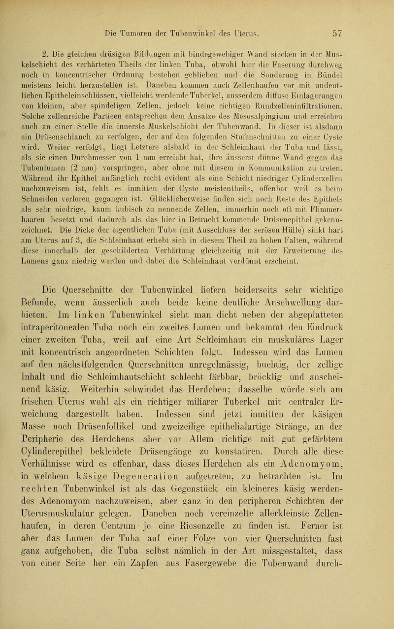 2. Die gleichen drüsigen Bildungen mit bindegewebiger Wand stecken in der Mus- kelschicht des verhärteten Theils der linken Tuba, obwohl hier die Faserung durchweg noch in koncentrischer Ordnung bestehen geblieben und die Sonderung in Bündel meistens leicht herzustellen ist. Daneben kommen auch Zellenhaufen vor mit undeut- lichen Epitheleinschlüssen, vielleicht werdende Tuberkel, ausserdem diffuse Einlagerungen von kleinen, aber spindeligen Zellen, jedoch keine richtigen Rundzelleninfiltrationen. Solche zellenreiche Partieen entsprechen dem Ansätze des Mesosalpingium und erreichen auch an einer Stelle die innerste Muskelschicht der Tubenwand. In dieser ist alsdann ein Drüsenschlauch zu verfolgen, der auf den folgenden Stufenschnitten zu einer Cyste wird. Weiter verfolgt, liegt Letztere alsbald in der Schleimhaut der Tuba und lässt, als sie einen Durchmesser von 1 mm erreicht hat, ihre äusserst dünne Wand gegen das Tubenlumen (2 mm) vorspringen, aber ohne mit diesem in Kommunikation zu treten. Während ihr Epithel anfänglich recht evident als eine Schicht niedriger Cylinderzellen nachzuweisen ist, fehlt es inmitten der Cyste meistentheils, offenbar weil es beim Schneiden verloren gegangen ist. Glücklicherweise finden sich noch Reste des Epithels als sehr niedrige, kaum kubisch zu nennende Zellen, immerhin noch oft mit Flimmer- haaren besetzt und dadurch als das hier in Betracht kommende Drüsenepithel gekenn- zeichnet. Die Dicke der eigentlichen Tuba (mit Ausschluss der serösen Hülle) sinkt hart am Uterus auf 3, die Schleimhaut erhebt sich in diesem Theil zu hohen Falten, während diese innerhalb der geschilderten Verhärtung gleichzeitig mit der Erweiterung des Lumens ganz niedrig werden und dabei die Schleimhaut verdünnt erscheint. Die Querschnitte der Tubenwinkel liefern beiderseits sehr wichtige Befunde, wenn äusserlich auch beide keine deutliche Anschwellung dar- bieten. Im linken Tubenwinkel sieht man dicht neben der abgeplatteten intraperitoneaien Tuba noch ein zweites Lumen und bekommt den Eindruck einer zweiten Tuba, weil auf eine Art Schleimhaut ein muskuläres Lager mit koncentrisch angeordneten Schichten folgt. Indessen wird das Lumen auf den nächstfolgenden Querschnitten unregelmässig, buchtig, der zellige Inhalt und die Schleimhautschicht, schlecht färbbar, bröcklig und anschei- nend käsig. Weiterhin schwindet das Herdchen; dasselbe würde sich am frischen Uterus wohl als ein richtiger miliarer Tuberkel mit centraler Er- weichung dargestellt haben. Indessen sind jetzt inmitten der käsigen Masse noch Drüsenfollikel und zweizeilige epithelialartige Stränge, an der Peripherie des Herdchens aber vor Allem richtige mit gut gefärbtem Cylinderepithel bekleidete Drüsengänge zu konstatiren. Durch alle diese Verhältnisse wird es offenbar, dass dieses Herdchen als ein Adenom vom, in welchem käsige Degeneration aufgetreten, zu betrachten ist. Im rechten Tubenwinkel ist als das Gegenstück ein kleineres käsig werden- des Adenomyom nachzuweisen, aber ganz in den peripheren Schichten der Uterusmuskulatur gelegen. Daneben noch vereinzelte allerkleinste Zellen- haufen, in deren Centrum je eine Riesenzelle zu finden ist. Ferner ist aber das Lumen der Tuba auf einer Folge von vier Querschnitten fast ganz aufgehoben, die Tuba selbst nämlich in der Art missgestaltet, dass von einer Seite her ein Zapfen aus Fasergewebe die Tubenwand durch-
