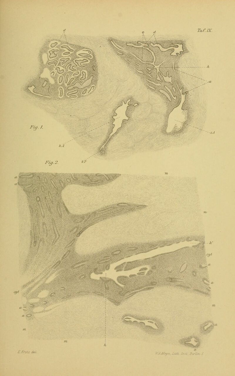 «2- (L Fig. 7. Oft Fig. 2. —h' \aft ß'.i -. ät LüJt fnst. Berlin, S.