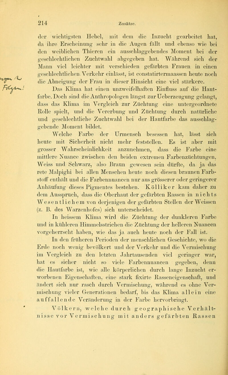 der wiclitigsten Hebel, mit dem die Inzuclit gearbeitet bat, da ihre Erscbeinung- sehr in die Augen fällt und ebenso wie bei den weiblichen Thieren ein ausschlaggebendes Moment bei der geschlechtlichen Zuchtwahl abgegeben hat. Während sich der Mann viel leicliter mit verschieden gefärbten Frauen in einen geschlechtlichen. Verkehr einlässt, ist constatirtermaassen heute noch die Abneigung der Frau in dieser Hinsicht eine viel stärkere. Das Klima hat einen unzweifelhaften Einfluss auf die Haut- farbe. Doch sind die Anthropologen längst zur Ueberzeugung gelangt, dass das Klima im Vergleich zur Züchtung eine untergeordnete Rolle spielt, und die Vererbung und Züchtung durch natürliche und geschlechtliche Zuchtwahl bei der Hautfarbe das ausschlag- gebende Moment bildet. Welche Farbe der Urmensch besessen hat, lässt sich heute mit Sicherheit nicht mehr feststellen. Es ist aber mit grosser Wahrscheinlichkeit anzunehmen, dass die Farbe eine mittlere Nuance zwischen den beiden extremen Farbenzüchtungen. Weiss und Schwarz, also Braun gewesen sein dürfte, da ja das rete Malpighi bei allen Menschen heute noch diesen braunen Farb- stoff enthält und die Farbennuancen nur aus grösserer oder geringerer Anhäufung dieses Pigmentes bestehen. Kölliker kam daher zu dem Ausspruch, dass die Oberhaut der gefärbten Rassen in nichts Wesentlichem von derjenigen der gefärbten Stellen der Weissen (z. B. des Warzenhofes) sich unterscheidet. In heissem Klima wird die Züchtung der dunkleren Farbe und in kühleren Himmelsstrichen die Züchtung der helleren Nuancen vorgeherrscht haben, wie das ja auch heute noch der Fall ist. In den früheren Perioden der menschlichen Geschichte, wo die Erde noch wenig bevölkert und der Verkehr und die Vermischung im Vergleich zu den letzten Jahrtausenden viel geringer war, hat es sicher nicht so viele Farbennuancen gegeben, denn die Hautfarbe ist, wie alle körperlichen durch lange Inzucht er- worbenen Eigenschaften, eine stark fixirte Rasseneigenschaft, und ändert sich nur rasch durch Vermischung, während es ohne Ver- mischung vieler Generationen bedarf, bis das Klima allein eine auffallende Veränderung in der Farbe hervorbringt. Völkern, welche durch geographische Verhält- nisse vor Vermischung mit anders gefärbten Rassen