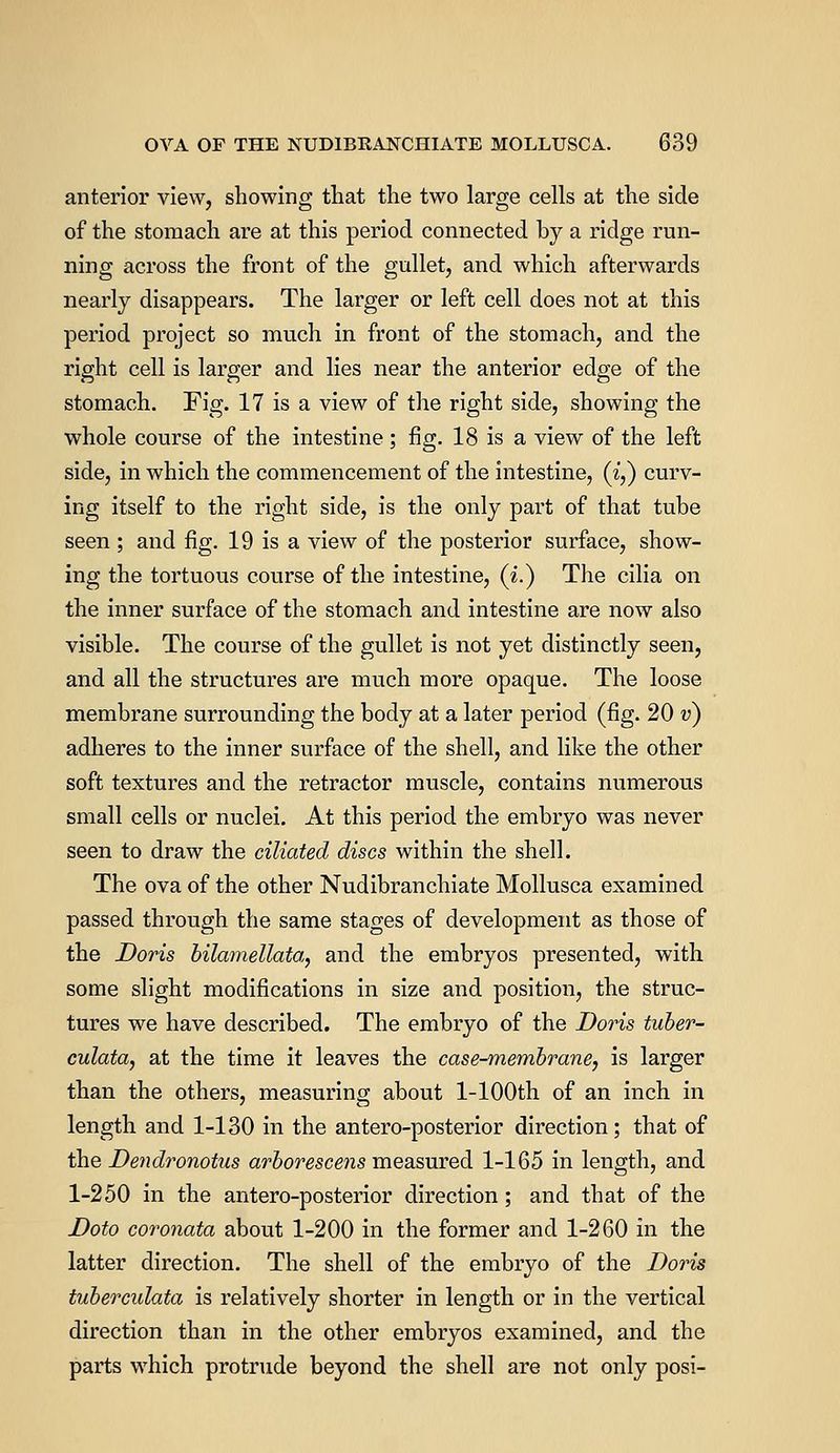 anterior view, showing that the two large cells at the side of the stomach are at this period connected by a ridge run- ning across the front of the gullet, and which afterwards nearly disappears. The larger or left cell does not at this period project so much in front of the stomach, and the right cell is larger and lies near the anterior edge of the stomach. Fig. 17 is a view of the right side, showing the whole course of the intestine ; fig. 18 is a view of the left side, in which the commencement of the intestine, (if) curv- ing itself to the right side, is the only part of that tube seen ; and fig. 19 is a view of the posterior surface, show- ing the tortuous course of the intestine, (i.) The cilia on the inner surface of the stomach and intestine are now also visible. The course of the gullet is not yet distinctly seen, and all the structures are much more opaque. The loose membrane surrounding the body at a later period (fig. 20 v) adheres to the inner surface of the shell, and like the other soft textures and the retractor muscle, contains numerous small cells or nuclei. At this period the embryo was never seen to draw the ciliated discs within the shell. The ova of the other Nudibranchiate Mollusca examined passed through the same stages of development as those of the Doris bilamellata, and the embryos presented, with some slight modifications in size and position, the struc- tures we have described. The embryo of the Doris tuber- culata, at the time it leaves the case-membrane, is larger than the others, measuring about l-100th of an inch in length and 1-130 in the antero-posterior direction; that of the Dendronotus arborescens measured 1-165 in length, and 1-250 in the antero-posterior direction; and that of the Doto coronata about 1-200 in the former and 1-260 in the latter direction. The shell of the embryo of the Doris tuberculata is relatively shorter in length or in the vertical direction than in the other embryos examined, and the parts which protrude beyond the shell are not only posi-