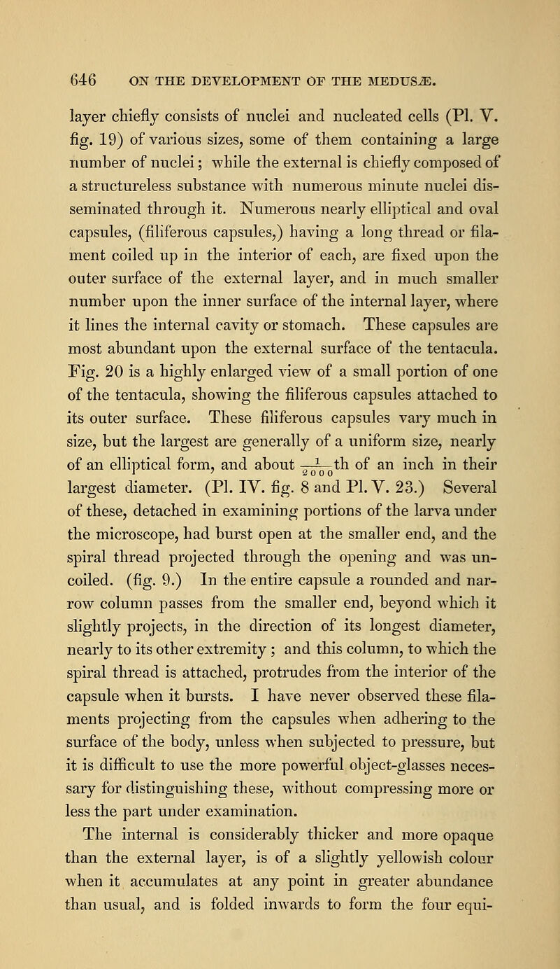 layer chiefly consists of nuclei and nucleated cells (PI. V. fig. 19) of various sizes, some of them containing a large number of nuclei; while the external is chiefly composed of a structureless substance with numerous minute nuclei dis- seminated through it. Numerous nearly elliptical and oval capsules, (filiferous capsules,) having a long thread or fila- ment coiled up in the interior of each, are fixed upon the outer surface of the external layer, and in much smaller number upon the inner surface of the internal layer, where it lines the internal cavity or stomach. These capsules are most abundant upon the external surface of the tentacula. Fig. 20 is a highly enlarged view of a small portion of one of the tentacula, showing the filiferous capsules attached to its outer surface. These filiferous capsules vary much in size, but the largest are generally of a uniform size, nearly of an elliptical form, and about —^-th of an inch in their 1 ' '2000 largest diameter. (PI. IV. fig. 8 and PI. V. 23.) Several of these, detached in examining portions of the larva under the microscope, had burst open at the smaller end, and the spiral thread projected through the opening and was un- coiled, (fig. 9.) In the entire capsule a rounded and nar- row column passes from the smaller end, beyond which it slightly projects, in the direction of its longest diameter, nearly to its other extremity ; and this column, to which the spiral thread is attached, protrudes from the interior of the capsule when it bursts. I have never observed these fila- ments projecting from the capsules when adhering to the surface of the body, unless when subjected to pressure, but it is difficult to use the more powerful object-glasses neces- sary for distinguishing these, without compressing more or less the part under examination. The internal is considerably thicker and more opaque than the external layer, is of a slightly yellowish colour when it accumulates at any point in greater abundance than usual, and is folded inwards to form the four equi-