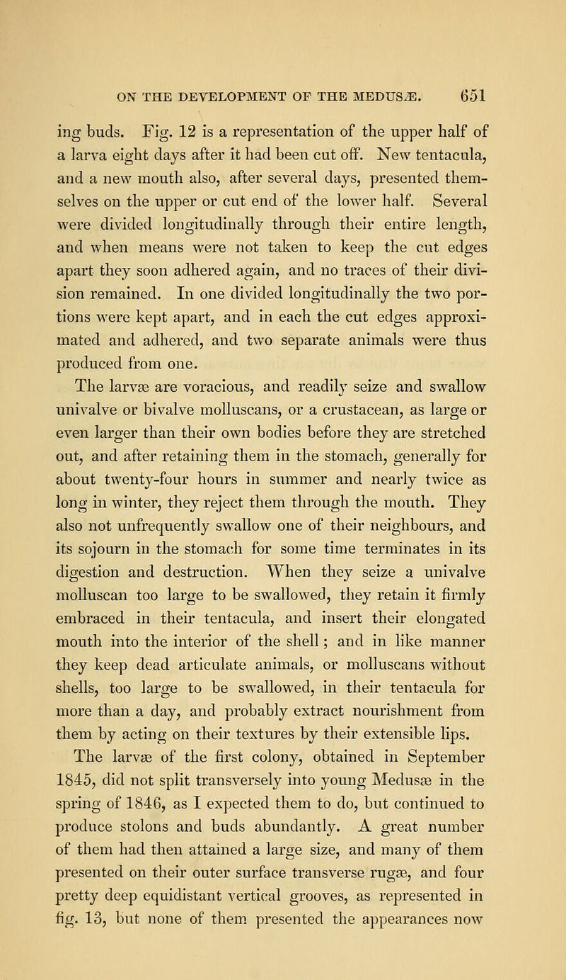 ing buds. Fig. 12 is a representation of the upper half of a larva eight days after it had been cut off. New tentacula, and a new mouth also, after several days, presented them- selves on the upper or cut end of the lower half. Several were divided longitudinally through their entire length, and when means were not taken to keep the cut edges apart they soon adhered again, and no traces of their divi- sion remained. In one divided longitudinally the two por- tions were kept apart, and in each the cut edges approxi- mated and adhered, and two separate animals were thus produced from one. The larvae are voracious, and readily seize and swallow univalve or bivalve molluscans, or a crustacean, as large or even larger than their own bodies before they are stretched out, and after retaining them in the stomach, generally for about twenty-four hours in summer and nearly twice as long in winter, they reject them through the mouth. They also not unfrequently swallow one of their neighbours, and its sojourn in the stomach for some time terminates in its digestion and destruction. When they seize a univalve molluscan too large to be swallowed, they retain it firmly embraced in their tentacula, and insert their elongated mouth into the interior of the shell; and in like manner they keep dead articulate animals, or molluscans without shells, too large to be swallowed, in their tentacula for more than a day, and probably extract nourishment from them by acting on their textures by their extensible lips. The larvae of the first colony, obtained in September 1845, did not split transversely into young Medusae in the spring of 1846, as I expected them to do, but continued to produce stolons and buds abundantly. A great number of them had then attained a large size, and many of them presented on their outer surface transverse rugae, and four pretty deep equidistant vertical grooves, as represented in fig. 13, but none of them presented the appearances now