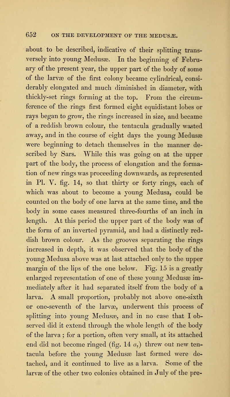 about to be described, indicative of their splitting trans- versely into young Medusas. In the beginning of Febru- ary of the present year, the upper part of the body of some of the larvae of the first colony became cylindrical, consi- derably elongated and much diminished in diameter, with thickly-set rings forming at the top. From the circum- ference of the rings first formed eight equidistant lobes or rays began to grow, the rings increased in size, and became of a reddish brown colour, the tentacula gradually wasted away, and in the course of eight days the young Medusas were beginning to detach themselves in the manner de- scribed by Sars. While this was going on at the upper part of the body, the process of elongation and the forma- tion of new rings was proceeding downwards, as represented in PL V. fig. 14, so that thirty or forty rings, each of which was about to become a young Medusa, could be counted on the body of one larva at the same time, and the body in some cases measured three-fourths of an inch in length. At this period the upper part of the body was of the form of an inverted pyramid, and had a distinctly red- dish brown colour. As the grooves separating the rings increased in depth, it was observed that the body of the young Medusa above was at last attached only to the upper margin of the lips of the one below. Fig. 15 is a greatly enlarged representation of one of these young Medusae im- mediately after it had separated itself from the body of a larva. A small proportion, probably not above one-sixth or one-seventh of the larvae, underwent this process of splitting into young Medusae, and in no case that I ob- served did it extend through the whole length of the body of the larva ; for a portion, often very small, at its attached end did not become ringed (fig. 14 a,) threw out new ten- tacula before the young Medusae last formed were de- tached, and it continued to live as a larva. Some of the larvae of the other two colonies obtained in July of the pre-
