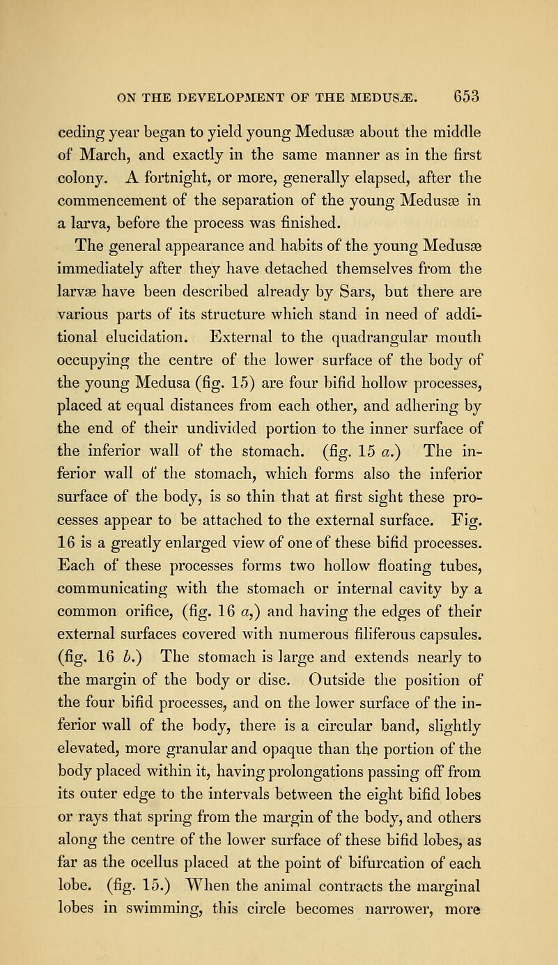 ceding year began to yield young Medusae about the middle of March, and exactly in the same manner as in the first colony. A fortnight, or more, generally elapsed, after the commencement of the separation of the young Medusae in a larva, before the process was finished. The general appearance and habits of the young Medusae immediately after they have detached themselves from the larvae have been described already by Sars, but there are various parts of its structure which stand in need of addi- tional elucidation. External to the quadrangular mouth occupying the centre of the lower surface of the body of the young Medusa (fig. 15) are four bifid hollow processes, placed at equal distances from each other, and adhering by the end of their undivided portion to the inner surface of the inferior wall of the stomach, (fig. 15 a.) The in- ferior wall of the stomach, which forms also the inferior surface of the body, is so thin that at first sight these pro- cesses appear to be attached to the external surface. Fig. 16 is a greatly enlarged view of one of these bifid processes. Each of these processes forms two hollow floating tubes, communicating with the stomach or internal cavity by a common orifice, (fig. 16 a,) and having the edges of their external surfaces covered with numerous filiferous capsules, (fig. 16 b.) The stomach is large and extends nearly to the margin of the body or disc. Outside the position of the four bifid processes, and on the lower surface of the in- ferior wall of the body, there is a circular band, slightly elevated, more granular and opaque than the portion of the body placed within it, having prolongations passing off from its outer edge to the intervals between the eight bifid lobes or rays that spring from the margin of the body, and others along the centre of the lower surface of these bifid lobes, as far as the ocellus placed at the point of bifurcation of each lobe. (fig. 15.) When the animal contracts the marginal lobes in swimming, this circle becomes narrower, more