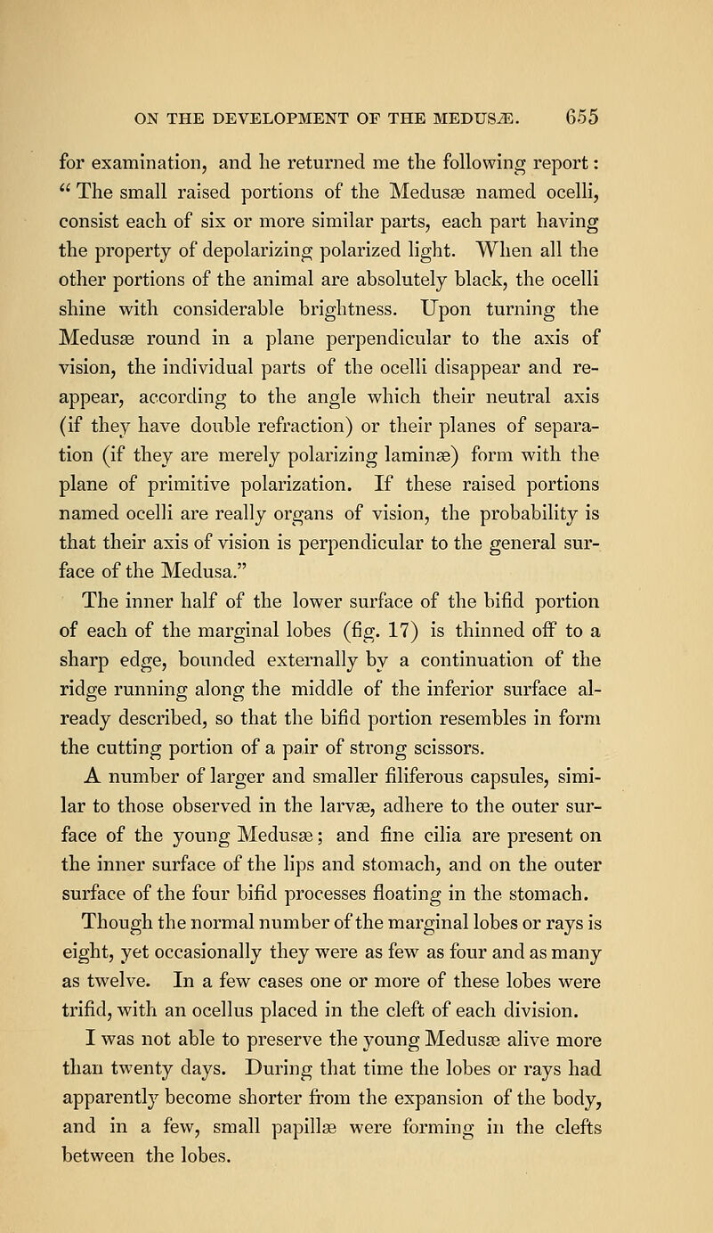 for examination, and lie returned me the following report:  The small raised portions of the Medusas named ocelli, consist each of six or more similar parts, each part having the property of depolarizing polarized light. When all the other portions of the animal are absolutely black, the ocelli shine with considerable brightness. Upon turning the Medusas round in a plane perpendicular to the axis of vision, the individual parts of the ocelli disappear and re- appear, according to the angle which their neutral axis (if they have double refraction) or their planes of separa- tion (if they are merely polarizing laminae) form with the plane of primitive polarization. If these raised portions named ocelli are really organs of vision, the probability is that their axis of vision is perpendicular to the general sur- face of the Medusa. The inner half of the lower surface of the bifid portion of each of the marginal lobes (fig. 17) is thinned off to a sharp edge, bounded externally by a continuation of the ridge running along the middle of the inferior surface al- ready described, so that the bifid portion resembles in form the cutting portion of a pair of strong scissors. A number of larger and smaller filiferous capsules, simi- lar to those observed in the larvae, adhere to the outer sur- face of the young Medusae; and fine cilia are present on the inner surface of the lips and stomach, and on the outer surface of the four bifid processes floating in the stomach. Though the normal number of the marginal lobes or rays is eight, yet occasionally they were as few as four and as many as twelve. In a few cases one or more of these lobes were trifid, with an ocellus placed in the cleft of each division. I was not able to preserve the young Medusae alive more than twenty days. During that time the lobes or rays had apparently become shorter from the expansion of the body, and in a few, small papillae were forming in the clefts between the lobes.