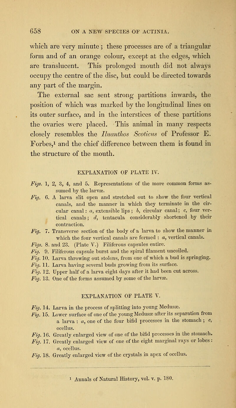 which are very minute; these processes are of a triangular form and of an orange colour, except at the edges, which are translucent. This prolonged mouth did not always occupy the centre of the disc, but could be directed towards any part of the margin. The external sac sent strong partitions inwards, the position of which was marked by the longitudinal lines on its outer surface, and in the interstices of these partitions the ovaries were placed. This animal in many respects closely resembles the Iluantlios Scoticus of Professor E. Forbes,1 and the chief difference between them is found in the structure of the mouth. EXPLANATION OF PLATE IV. Figs. 1, 2, 3, 4, and 5. Representations of the more common forms as- sumed by the larvse. Fig. 6. A larva slit open and stretched out to show the four vertical canals, and the manner in which they terminate in the cir- cular canal: a, extensible lips ; b, circular canal; c, four ver- tical canals; d, tentacula considerably shortened by their contraction. Fig. 7. Transverse section of the body of a larva to show the manner in which the four vertical canals are formed : a, vertical canals. Figs. 8. and 23. (Plate V.) Filiferous capsules entire. Fig. 9. Filiferous capsule burst and the spiral filament uncoiled. Fig. 10. Larva throwing out stolons, from one of which a bud is springing. Fig. 11. Larva having several buds growing from its surface. Fig. 12. Upper half of a larva eight days after it had been cut across. Fig. 13. One of the forms assumed by some of the larvae. EXPLANATION OF PLATE V. Fig. 14. Larva in the process of splitting into young Medusae. Fig. 15. Lower surface of one of the young Medusae after its separation from a larva : a, one of the four bifid processes in the stomach ; c, ocellus. Fig. 16. Greatly enlarged view of one of the bifid processes in the stomach. Fig. 17. Greatly enlarged view of one of the eight marginal rays or lobes : a, ocellus. Fig. 18. Greatly enlarged view of the crystals in apex of ocellus.