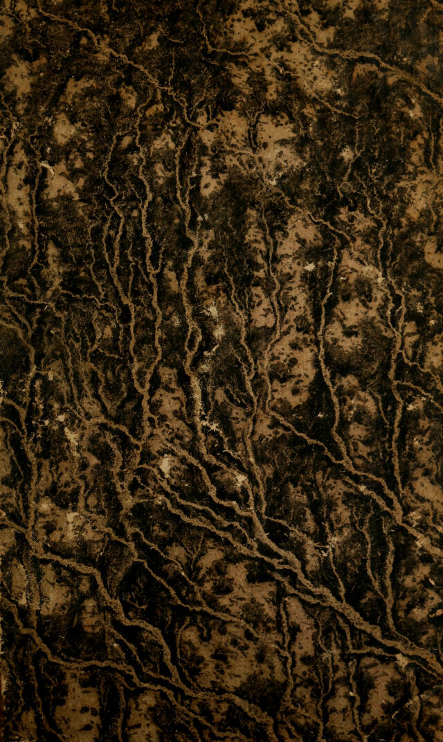 digitised image 1