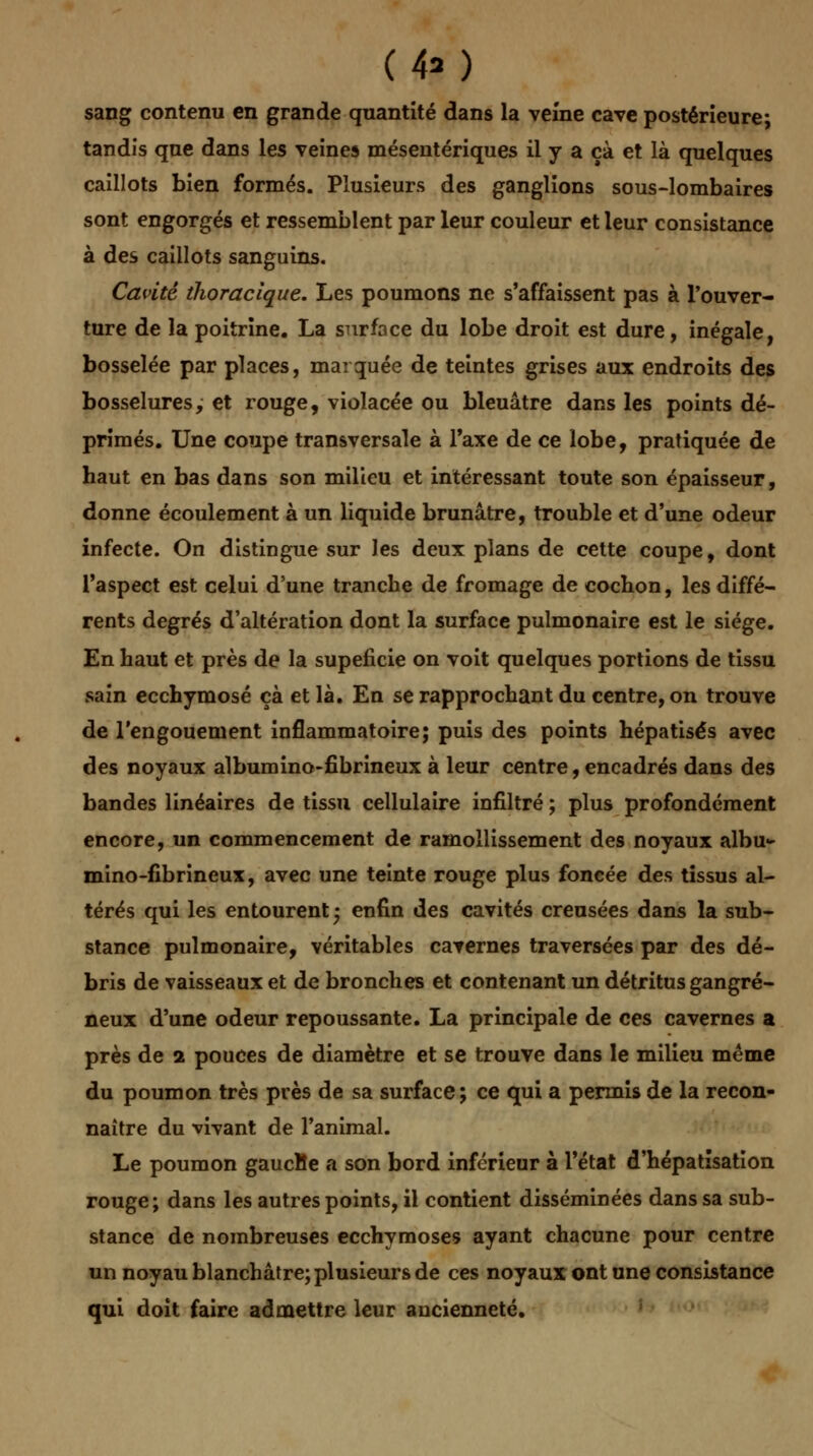 sang contenu en grande quantité dans la veine cave postérieure; tandis que dans les veines mésentériques il y a çà et là quelques caillots bien formés. Plusieurs des ganglions sous-lombaires sont engorgés et ressemblent par leur couleur et leur consistance à des caillots sanguins. Cavité tlioracique. Les poumons ne s'affaissent pas à l'ouver- ture de la poitrine. La surface du lobe droit est dure, inégale, bosselée par places, marquée de teintes grises aux endroits des bosselures, et rouge, violacée ou bleuâtre dans les points dé- primés. Une coupe transversale à l'axe de ce lobe, pratiquée de haut en bas dans son milieu et intéressant toute son épaisseur, donne écoulement à un liquide brunâtre, trouble et d'une odeur infecte. On distingue sur les deux plans de cette coupe, dont l'aspect est celui d'une tranche de fromage de cochon, les diffé- rents degrés d'altération dont la surface pulmonaire est le siège. En haut et près de la supeficie on voit quelques portions de tissu sain ecchymose çà et là. En se rapprochant du centre, on trouve de l'engouement inflammatoire; puis des points hépatisés avec des noyaux albumino-fibrineux à leur centre, encadrés dans des bandes linéaires de tissu cellulaire infiltré ; plus profondément encore, un commencement de ramollissement des noyaux albu- mino-fibrineux, avec une teinte rouge plus foncée des tissus al- térés qui les entourent* enfin des cavités creusées dans la sub- stance pulmonaire, véritables cavernes traversées par des dé- bris de vaisseaux et de bronches et contenant un détritus gangre- neux d'une odeur repoussante. La principale de ces cavernes a près de 2 pouces de diamètre et se trouve dans le milieu même du poumon très près de sa surface; ce qui a permis de la recon- naître du viyant de l'animal. Le poumon gaucBe a son bord inférieur à l'état d'hépatîsatïon rouge; dans les autres points, il contient disséminées dans sa sub- stance de nombreuses ecchymoses ayant chacune pour centre un noyau blanchâtre; plusieurs de ces noyaux ont une consistance qui doit faire admettre leur ancienneté.