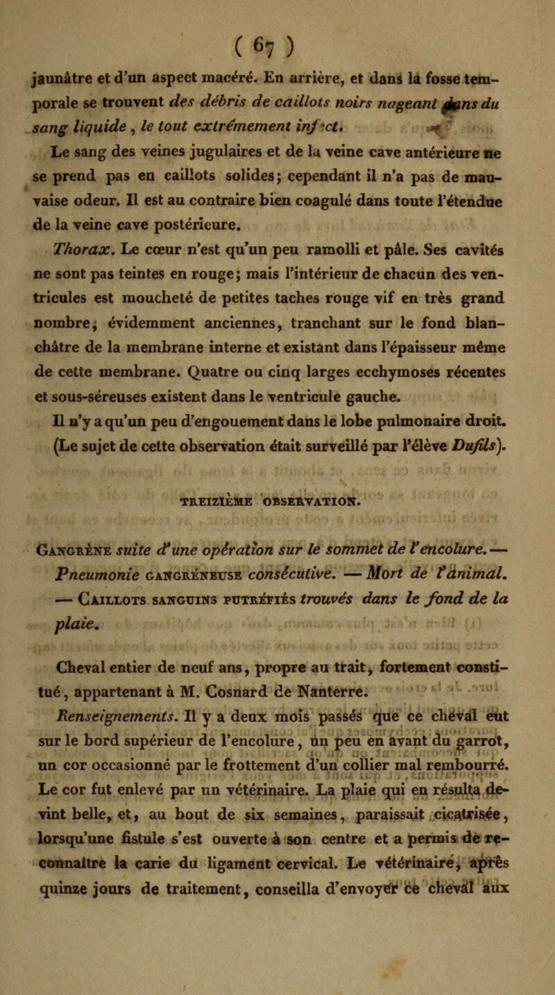 jaunâtre et d'un aspect macéré. En arrière, et dans la fosse tem- porale se trouvent des débris de caillots noirs nageant épns du sang liquide , le tout extrêmement infect* Le sang des veines jugulaires et de lu veine cave antérieure ne se prend pas en caillots solides; cependant il n'a pas de mau- vaise odeur. Il est au contraire bien coagulé dans toute l'étendue de la veine cave postérieure. Thorax. Le cœur n'est qu'un peu ramolli et pâle. Ses cavités ne sont pas teintes en rouge; mais l'intérieur de chacun des ven- tricules est moucheté de petites taches rouge vif en très grand nombre, évidemment anciennes, tranchant sur le fond blan- châtre de la membrane interne et existant dans l'épaisseur même de cette membrane. Quatre ou cinq larges ecchymoses récentes et sous-séreuses existent dans le ventricule gauche. Il n'y a qu'un peu d'engouement dans le lobe pulmonaire droit. (Le sujet de cette observation était surveillé par l'élève Dufils). TREIZIEME OBSERVATION. Gangrène suite dfune opération sur le sommet de Vencolure.— Pneumonie gangreneuse consécutive. — Mort de f animal. — Caillots sanguins putréeiés trouvés dans le fond de la plaie. Cheval entier de neuf ans, propre au trait, fortement consti- tué , appartenant à M. Cosnard de Nanterre. Renseignements. Il y a deux mois passés que ce cheval eut sur le bord supérieur de l'encolure, un peu en avant du garrot, un cor occasionné par le frottement d'un collier mal rembourré. Le cor fut enlevé par un vétérinaire. La plaie qui en résulta de- vint belle, et, au bout de six semaines, paraissait cicatrisée, lorsqu'une fistule s'est ouverte à son centre et a permis de re- connaître la carie du ligament cervical. Le vétérinaire, après quinze jours de traitement, conseilla d'envoyé* ce cheval aux