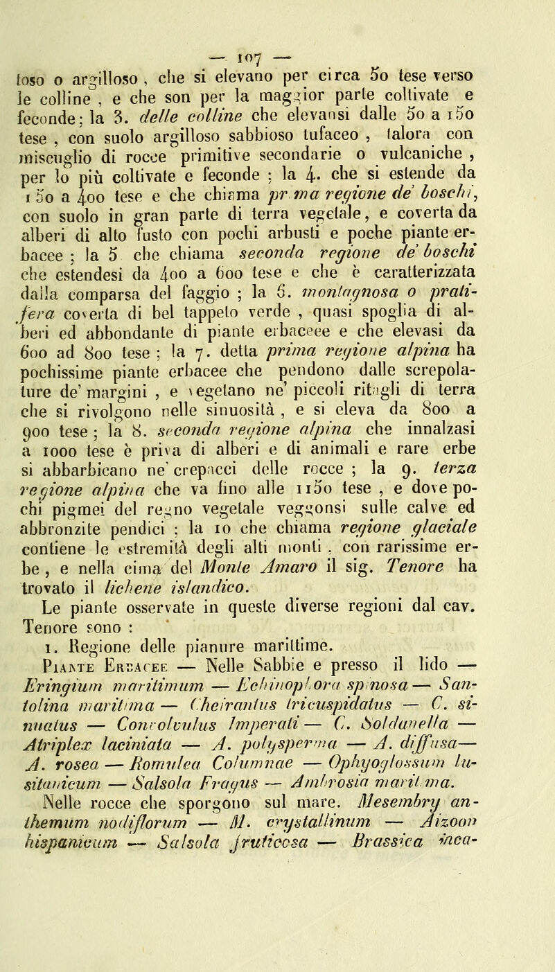 toso o argilloso , che si elevano per circa 5o tese verso le colline'', e che son per la maggior parie coltivate e feconde; la 5. delle colline che elevansi dalle 5o a i5o tese , con suolo argilloso sabbioso tufaceo , talora con miscuglio di rocce primitive secondarie o vulcaniche , per lo più coltivate e feconde : la 4- che si estende da I 5o a 4,00 tese e che chirma pr wa recjione de boschi, con suolo in gran parte di terra ve^^elale, e coverta da alberi di alto fusto con pochi arbusti e poche piante er- bacee ; la 5 che chiama seconda regione de boschi che estendesi da 4oo a òoo tese e che è caratterizzata dalla comparsa del faggio ; la 6. montagnosa 0 prati- fera coverta di bel tappeto verde , quasi spoglia di al- beri ed abbondante di piante erbaceee e che elevasi da 600 ad 800 tese ; la 7. detta prima ragione alpina ha pochissime piante erbacee che pendono dalle screpola- ture de'margini , e > egelano ne'piccoli rit;!gli di terra che si rivolgono nelle sinuosità , e si eleva da 800 a 900 tese ; la 8. S(C0nda regione alpina che innalzasi a 1000 tese è priva di alberi e di animali e rare erbe si abbarbicano ne crepacci delle rocce ; la 9. terza regione alpina che va hno alle ii5o tese , e dove po- chi pigmei del re;4no vegetale vegi;onsi sulle calve ed abbronzite pendici ; la io che chiama regione glaciale contiene le estremità degh alti monti , con rarissime er- be , e nella cim^ dei Monte Amaro il sig. Tenore ha trovato il lichene islandico. Le piante osservate in queste diverse regioni dal cav. Tenore sono : 1. Regione delle pianure mariltime. PiAME Eruatee — Nelle Sabbie e presso il lido — Eringiuni mariiimum — Echinopiora spinosa— San- tolina maritima — (.heiranius tricuspidatiis — C. si- nnaius — Convolmdus Imperati— C, tSoldanella — Jtriplex laciniata — J. polysperma — J. diffusa— J. rosea — Romulea Coìurnnae — Ophyoglosswn lii- sitaiiicum. —Salsoln Fragus — Amhrosia mariima. Nelle rocce che sporgono sul mare. Mesembry an- ihemum nodiflorum — ///. crystaHinum — Jìzooji hispamcum — Sa Isola Jruliccsa — Brassica fnca-