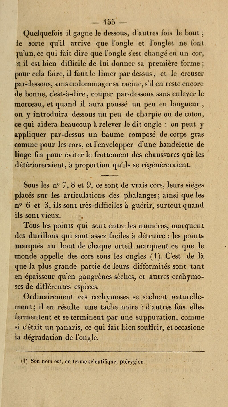 Quelquefois il gagne le dessous, d'autres fois le bout, le sorte qu'il arrive que l'ongle et l'onglet ne font ju'un,ce qui fait dire que l'ongle s'est changé en un cor, 3t il est bien difficile de lui donner sa première forme : pour cela faire, il faut le limer par dessus, et le creuser par-dessous, sans endommager sa racine, s'il en reste encore de bonne, c'est-à-dire, couper par-dessous sans enlever le morceau, et quand il aura poussé un peu en longueur , on y introduira dessous un peu de charpie ou de coton, ce qui aidera beaucoup à relever le dit ongle : on peut y appliquer par-dessus un baume composé de corps gras comme pour les cors, et l'envelopper d'une bandelette de linge fin pour éviter le frottement des chaussures qui les détérioreraient, à proportion qu'ils se régénéreraient. Sous les n° 7, 8 et 9, ce sont de vrais cors, leurs sièges placés sur les articulations des phalanges; ainsi que les n° 6 et 3, ils sont très-difficiles à guérir, surtout quand ils sont vieux. t Tous les points qui sont entre les numéros, marquent des durillons qui sont assez faciles à détruire : les points marqués au bout de chaque orteil marquent ce que le monde appelle des cors sous les ongles (1). C'est de la que la plus grande partie de leurs difformités sont tant en épaisseur qu'en gangrènes sèches, et autres ecchymo- ses de différentes espèces. Ordinairement ces ecchymoses se sèchent naturelle- ment; il en résulte une tache noire : d'autres fois elles fermentent et se terminent par une suppuration, comme si c'était un panaris, ce qui fait bien souffrir, etoccasione la dégradation de l'ongle. (I) Son nom est, en terme scientifique, plérygion.