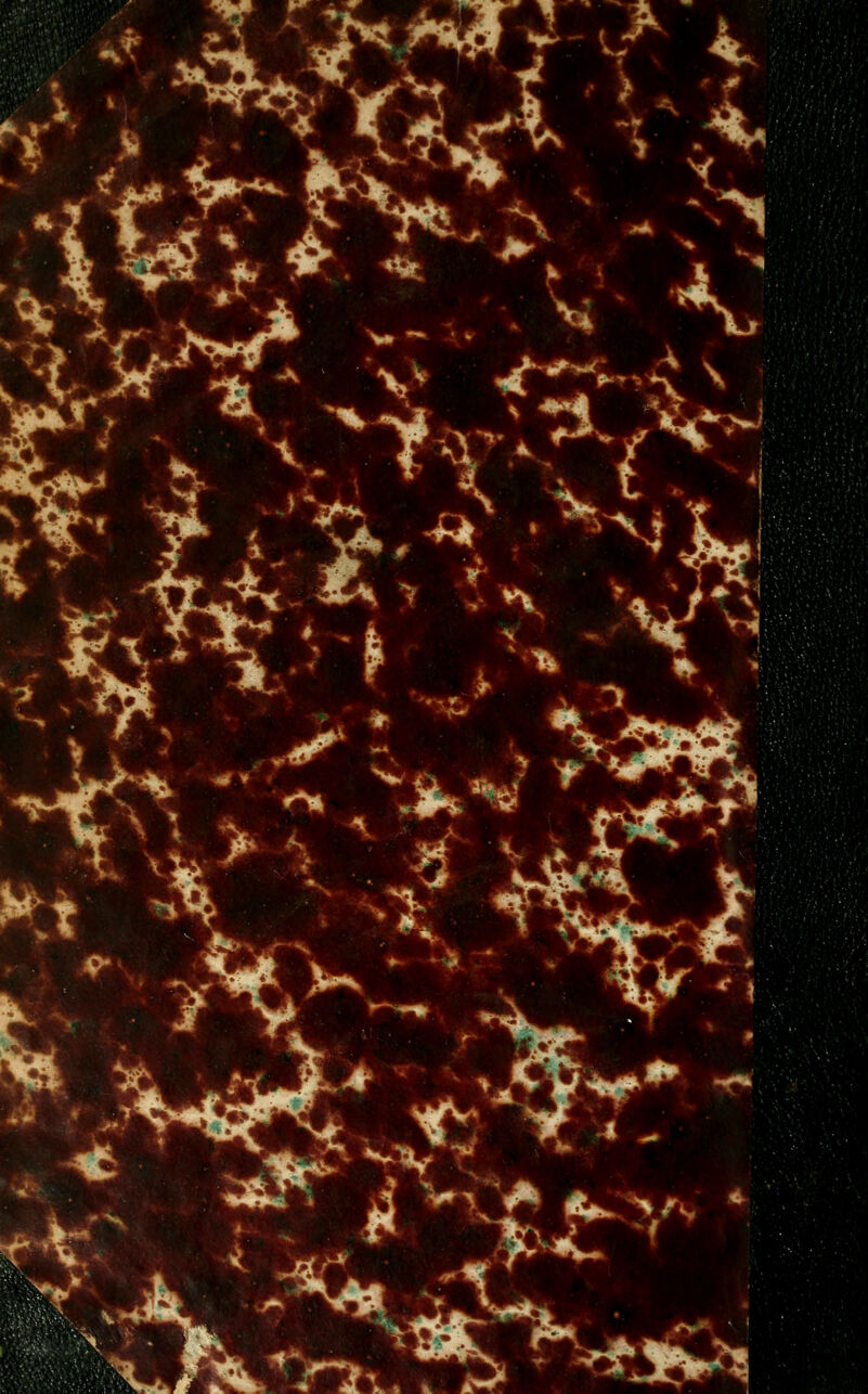 \  ***j * +*ê • p\ * 4 ^ t/^'n^ ^Jv^