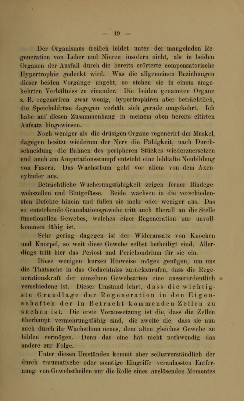 Der Organismus freilich leidet unter der mangelnden Re- generation von Leber und Nieren insofern nicht, als in beiden Organen der Ausfall durch die bereits erörterte compensatorische Hypertrophie gedeckt wird. Was die allgemeinen Beziehungen dieser beiden Vorgänge angeht, so stehen sie in einem umge- kehrten Verhältniss zu einander. Die beiden genannten Organe z. B. regeneriren zwar wenig, hypertrophiren aber beträchtlich, die Speicheldrüse dagegen verhält sich gerade umgekehrt. Ich habe auf diesen Zusammenhang in meinem oben bereits citirten Aufsatz hingewiesen. Noch weniger als die drüsigen Organe regcnerirt der Muskel, dagegen besitzt wiederum der Nerv die Fähigkeit, nach Duivli- schneidung die Bahnen des peripheren Stückes wiederzuersetzen und auch am Amputationsstumpf entsteht eine lebhafte Neubildung von Fasern. Das Wachsthum geht vor allem von dem Axen- cylinder aus. Beträchtliche Wucherungsfähigkeit zeigen ferner Bindege- webszellen und Blutgefässe. Beide wachsen in die verschieden- sten Defekte hinein und füllen sie mehr oder weniger aus. Das so entstehende Granulationsgewebe tritt auch überall an die Stelle functionellen Gewebes, welches einer Regeneration nur unvoll- kommen fähig ist. Sehr gering dagegen ist der Wideransatz von Knochen und Knorpel, so weit diese Gewebe selbst betheiligt sind. Aller- dings tritt hier das Periost und Perichondrium für sie ein. Diese wenigen kurzen Hinweise mögen genügen, um uns die Thatsache in das Gedächtniss zurückzurufen, dass die Rege- nerationskraft der einzelnen Gewebsarten eine ausserordentlich verschiedene ist. Dieser Umstand lehrt, dass die wichtig- ste Grundlage der Regeneration in den Eigen- schaften der in Betracht kommenden Zellen zu suchen ist. Die erste Voraussetzung ist die, dass die Zellen überhaupt vermehrungsfähig sind, die zweite die, dass sie nun auch durch ihr Wachsthum neues, dem alten gleiches Gewebe zu bilden vermögen. Denn das eine hat nicht nothwendig das andere zur Folge. Unter diesen Umständen kommt aber selbstverständlich der durch traumatische oder sonstige Eingriffe veranlassten Entfer- nung von Gewebstheilen nur die Rolle eines auslösenden Momentes