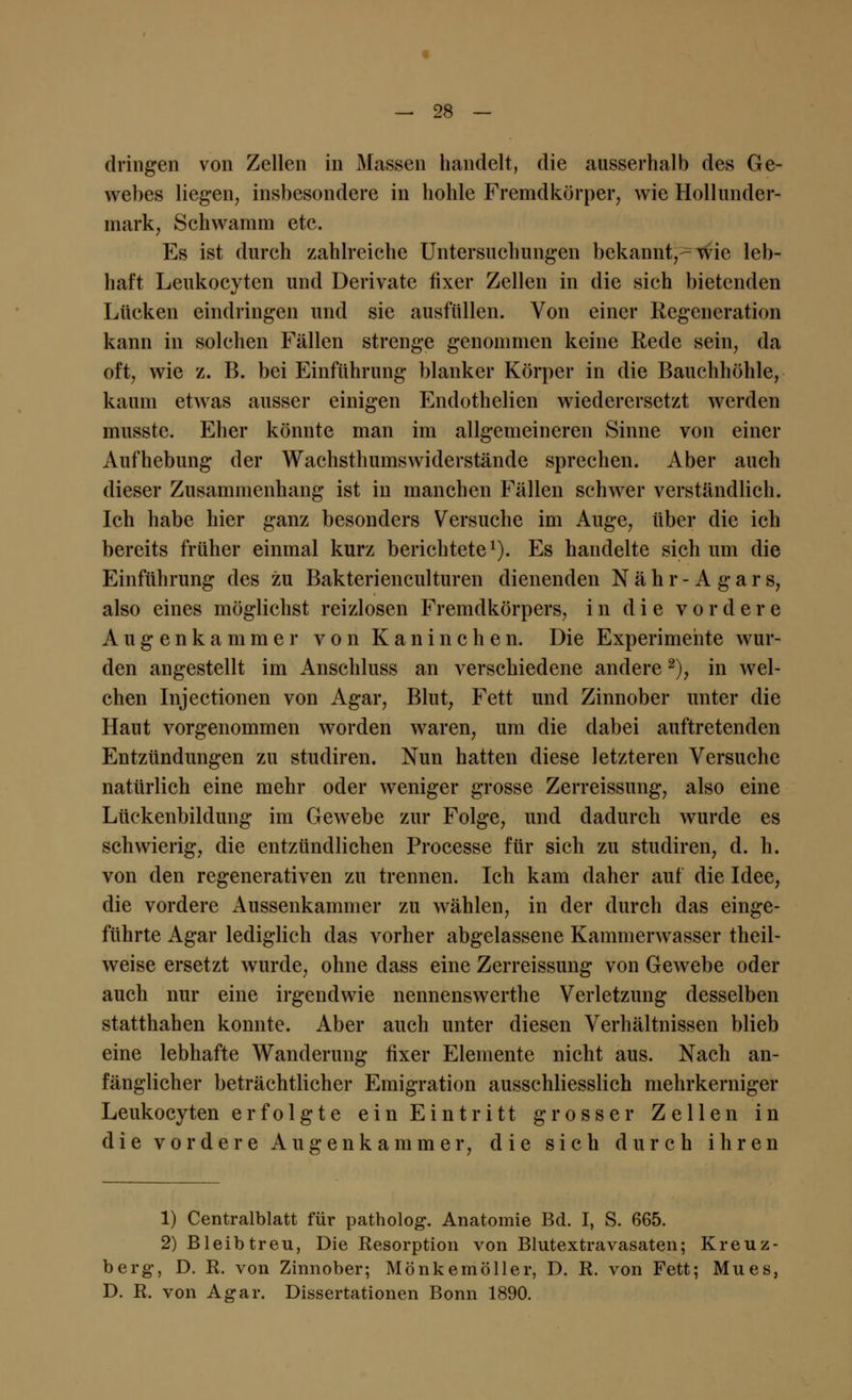 dringen von Zellen in Massen handelt, die ausserhalb des Ge- webes liegen, insbesondere in hohle Fremdkörper, wie Hollunder- mark, Schwamm etc. Es ist durch zahlreiche Untersuchungen bekannt,-wie leb- haft Leukocyten und Derivate fixer Zellen in die sich bietenden Lücken eindringen und sie ausfüllen. Von einer Regeneration kann in solchen Fällen strenge genommen keine Rede sein, da oft, wie z. B. bei Einführung blanker Körper in die Bauchhöhle, kaum etwas ausser einigen Endothelien wiederersetzt werden musstc. Eher könnte man im allgemeineren Sinne von einer Aufhebung der Wachsthumswiderstände sprechen. Aber auch dieser Zusammenhang ist in manchen Fällen schwer verständlich. Ich habe hier ganz besonders Versuche im Auge, über die ich bereits früher einmal kurz berichtete1). Es handelte sich um die Einführung des zu Bakterienculturen dienenden Nähr-Agars, also eines möglichst reizlosen Fremdkörpers, in die vordere Augenkammer von Kaninchen. Die Experimente wur- den angestellt im Anschluss an verschiedene andere2), in wel- chen Injectionen von Agar, Blut, Fett und Zinnober unter die Haut vorgenommen worden waren, um die dabei auftretenden Entzündungen zu studiren. Nun hatten diese letzteren Versuche natürlich eine mehr oder weniger grosse Zerreissung, also eine Lückenbildung im Gewebe zur Folge, und dadurch wurde es schwierig, die entzündlichen Processe für sich zu studiren, d. h. von den regenerativen zu trennen. Ich kam daher auf die Idee, die vordere Aussenkammer zu wählen, in der durch das einge- führte Agar lediglich das vorher abgelassene Kammerwasser theil- weise ersetzt wurde, ohne dass eine Zerreissung von Gewebe oder auch nur eine irgendwie nennenswerthe Verletzung desselben statthahen konnte. Aber auch unter diesen Verhältnissen blieb eine lebhafte Wanderung fixer Elemente nicht aus. Nach an- fänglicher beträchtlicher Emigration ausschliesslich mehrkerniger Leukocyten erfolgte ein Eintritt grosser Zellen in die vordere Augenkammer, die sich durch ihren 1) Centralblatt für patholog. Anatomie Bd. I, S. 665. 2) Bleibtreu, Die Resorption von Blutextravasaten; Kreuz- berg, D. R. von Zinnober; Mönkemöller, D. R. von Fett; Mues, D. R. von Agar. Dissertationen Bonn 1890.