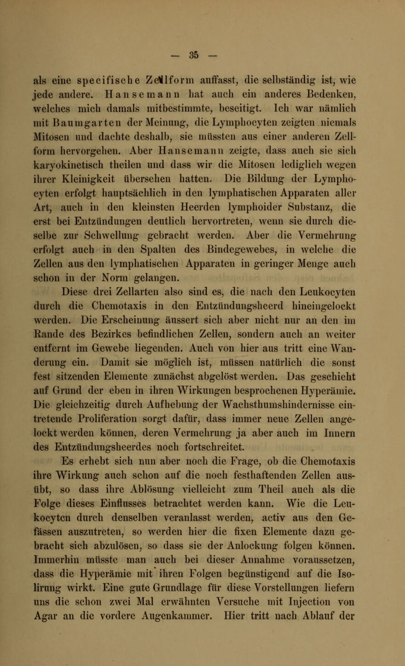 als eine specifische ZeÜlform aufTasst, die selbständig ist, wie jede andere. Hanse mann hat auch ein anderes Bedenken, welches mich damals mitbestimmte, beseitigt. Ich war nämlich mit Baumgarten der Meinung, die Lymphocyten zeigten niemals Mitosen und dachte deshalb, sie müssten aus einer anderen Zell- form hervorgehen. Aber Hanse mann zeigte, dass auch sie sich karyokinetisch theilen und dass wir die Mitosen lediglich wegen ihrer Kleinigkeit übersehen hatten. Die Bildung der Lympho- cyten erfolgt hauptsächlich in den lymphatischen Apparaten aller Art, auch in den kleinsten Heerden lymphoider Substanz, die erst bei Entzündungen deutlich hervortreten, wenn sie durch die- selbe zur Schwellung gebracht werden. Aber die Vermehrung erfolgt auch in den Spalten des Bindegewebes, in welche die Zellen aus den lymphatischen Apparaten in geringer Menge auch schon in der Norm gelangen. Diese drei Zellarten also sind es, die nach den Leukocytcn durch die Chemotaxis in den Entzündungsheerd hineingelockt werden. Die Erscheinung äussert sich aber nicht nur an den im Rande des Bezirkes befindlichen Zellen, sondern auch an weiter entfernt im Gewebe liegenden. Auch von hier aus tritt eine Wan- derung ein. Damit sie möglich ist, müssen natürlich die sonst fest sitzenden Elemente zunächst abgelöst werden. Das geschieht auf Grund der eben in ihren Wirkungen besprochenen Hyperämie. Die gleichzeitig durch Aufhebung der Wachsthumshindcrnisse ein- tretende Proliferation sorgt dafür, dass immer neue Zellen ange- lockt werden können, deren Vermehrung ja aber auch im Innern des Entzündungsheerdes noch fortschreitet. Es erhebt sich nun aber noch die Frage, ob die Chemotaxis ihre Wirkung auch schon auf die noch festhaftenden Zellen aus- übt, so dass ihre Ablösung vielleicht zum Theil auch als die Folge dieses Einflusses betrachtet werden kann. Wie die Leu- kocytcn durch denselben veranlasst werden, activ aus den Ge- fässen auszutreten, so werden hier die fixen Elemente dazu ge- bracht sich abzulösen, so dass sie der Anlockung folgen können. Immerhin müsste man auch bei dieser Annahme voraussetzen, dass die Hyperämie mit ihren Folgen begünstigend auf die Iso- lirung wirkt. Eine gute Grundlage für diese Vorstellungen liefern uns die schon zwei Mal erwähnten Versuche mit Injection von Agar an die vordere Augenkammer. Hier tritt nach Ablauf der