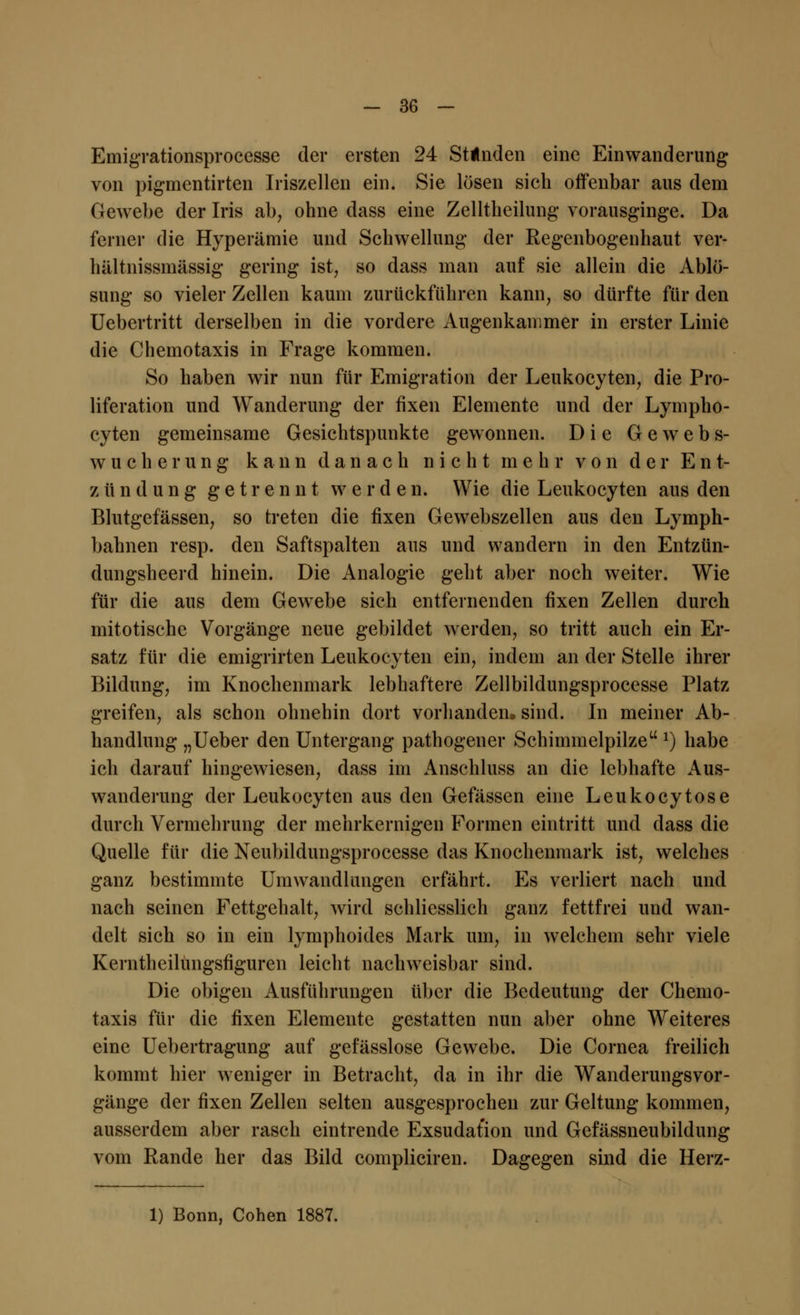 Emigrationsprocesse der ersten 24 Stünden eine Einwanderung von pigmentirten Iriszellen ein. Sie lösen sich offenbar aus dem Gewebe der Iris ab, ohne dass eine Zelltheilung vorausginge. Da ferner die Hyperämie und Schwellung der Regenbogenhaut ver- hältnissmässig gering ist, so dass man auf sie allein die Ablö- sung so vieler Zellen kaum zurückführen kann, so dürfte für den Uebertritt derselben in die vordere Augenkanimer in erster Linie die Chemotaxis in Frage kommen. So haben wir nun für Emigration der Leukocyten, die Pro- liferation und Wanderung der fixen Elemente und der Lympho- cyten gemeinsame Gesichtspunkte gewonnen. Die Gewebs- wucherung kann danach nicht mehr von der Ent- zündung getrennt werden. Wie die Leukocyten aus den Blutgefässen, so treten die fixen Gewebszellen aus den Lymph- bahnen resp. den Saftspalten aus und wandern in den Entzün- dungsheerd hinein. Die Analogie geht aber noch weiter. Wie für die aus dem Gewebe sich entfernenden fixen Zellen durch mitotische Vorgänge neue gebildet werden, so tritt auch ein Er- satz für die emigrirten Leukocyten ein, indem an der Stelle ihrer Bildung, im Knochenmark lebhaftere Zellbildungsprocesse Platz greifen, als schon ohnehin dort vorhanden, sind. In meiner Ab- handlung „Ueber den Untergang pathogener Schimmelpilze 2) habe ich darauf hingewiesen, dass im Anschluss an die lebhafte Aus- wanderung der Leukocyten aus den Gefässen eine Leukocytose durch Vermehrung der mehrkernigen Formen eintritt und dass die Quelle für die Neubildungsprocesse das Knochenmark ist, welches ganz bestimmte Umwandlungen erfährt. Es verliert nach und nach seinen Fettgehalt, wird schliesslich ganz fettfrei und wan- delt sich so in ein lymphoides Mark um, in welchem sehr viele Kerntheilüngsfiguren leicht nachweisbar sind. Die obigen Ausführungen über die Bedeutung der Chemo- taxis für die fixen Elemente gestatten nun aber ohne Weiteres eine Uebertragung auf gefässlose Gewebe. Die Cornea freilich kommt hier weniger in Betracht, da in ihr die Wanderungsvor- gänge der fixen Zellen selten ausgesprochen zur Geltung kommen, ausserdem aber rasch eintrende Exsudation und Gefässneubildung vom Rande her das Bild compliciren. Dagegen sind die Herz- 1) Bonn, Cohen 1887.