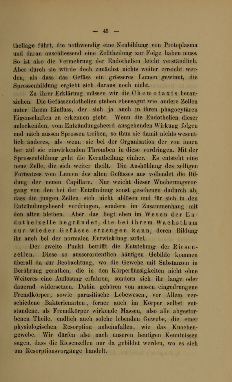 thellage führt, die nothwendig eine Neubildung von Protoplasma und daran anschliessend eine Zelltheilung zur Folge haben nmss. So ist also die Vermehrung der Endothelien leicht verständlich. Aber durch sie würde doch zunächst nichts weiter erreicht wer- den, als dass das Gefäss ein grösseres Lumen gewinnt, die Sprossenbildung ergiebt sich daraus noch nicht. Zu ihrer Erklärung müssen wir die Chemotaxis heran- ziehen. Die Gefässendothelien stehen ebensogut wie andere Zellen unter ihrem Einfluss, der sich ja auch in ihren phagocytären Eigenschaften zu erkennen giebt. Wenn die Endothelien dieser anlockenden, vom Entzündungsheerd ausgehenden Wirkung folgen und nach aussen Sprossen treiben, so thun sie damit nichts wesent- lich anderes, als wenn sie bei der Organisation der von innen her auf sie einwirkenden Thromben in diese vordringen. Mit der Sprossenbildung geht die Kerntheilung einher. Es entsteht eine neue Zelle, die sich weiter theilt. Die Aushöhlung des zclligen Fortsatzes vom Lumen des alten Gefässes aus vollendet die Bil- dung der neuen Capillare. Nur weicht dieser Wucherungsvor- gang von den bei der Entzündung sonst gesehenen dadurch ab, dass die jungen Zellen sich nicht ablösen und für sich in den Entzündungsheerd vordringen, sondern im Zusammenhang mit den alten bleiben. Aber das liegt eben im Wesen der En- dothel/, eile begründet, die bei ihrem Wa c h s t h u m nur wieder G e f ä s s e erzeugen kann, deren Bildung ihr auch bei der normalen Entwicklung zufiel. Der zweite Punkt betrifft die Entstehung der Riesen- zellen. Diese so ausserordentlich häufigen Gebilde kommen überall da zur Beobachtung, wo die Gewebe mit Substanzen in Berührung gerathen, die in den Körperflüssigkeiten nicht ohne Weiteres eine Auflösung erfahren, sondern sich ihr lange oder dauernd widersetzen. Dahin gehören von aussen eingedrungene Fremdkörper, sowie parasitische Lebewesen, vor Allem ver- schiedene Bakterienarten, ferner auch im Körper selbst ent- standene, als Fremdkörper wirkende Massen, also alle abgestor- benen Theile, endlich auch solche lebenden Gewebe, die einer physiologischen Resorption anheimfallen, wie das Knochen- gewebe. Wir dürfen also nach unseren heutigen Kenntnissen sagen, dass die Riesenzellen nur da gebildet werden, wo es sich um Resorptionsvorgänge handelt.