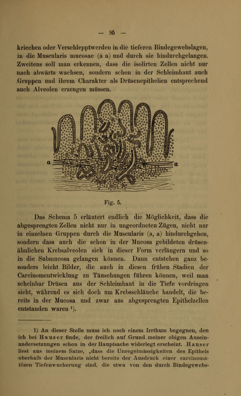 kriechen oder Verschlepptwerden in die tieferen Bindegewebslagen, in die Muscularis mucosae (a a) und durch sie hindurchgelangen. Zweitens soll man erkennen, dass die isolirten Zellen nicht nur nach abwärts wachsen, sondern schon in der Schleimhaut auch Gruppen und ihrem Charakter als Drüsenepithelien entsprechend auch Alveolen erzeugen müssen. Fig. 5. Das Schema 5 erläutert endlich die Möglichkeit, dass die abgesprengten Zellen nicht nur in ungeordneten Zügen, nicht nur in einzelnen Gruppen durch die Muscularis (a, a) hindurchgehen, sondern dass auch die schon in der Mucosa gebildeten drüsen- ähnlichen Krebsalveolen sich in dieser Form verlängern und so in die Submucosa gelangen können. Dann entstehen ganz be- sonders leicht Bilder, die auch in diesen frühen Stadien der Carcinomentwicklung zu Täuschungen führen können, weil man scheinbar Drüsen aus der Schleimhaut in die Tiefe vordringen sieht, während es sich doch um Krebsschläuche handelt, die be- reits in der Mucosa und zwar aus abgesprengten Epithelzellen entstanden waren 1). 1) An dieser Stelle muss ich noch einem Irrthum begegnen, den ich bei Haus er linde, der freilich auf Grund meiner obigen Ausein- andersetzungen schon in der Hauptsache widerlegt erscheint. Hauser liest aus meinem Satze, „dass die Unregelmässigkeiten des Epithels oberhalb der Muscularis nicht bereits der Ausdruck einer carcinoma- tösen Tiefenwucherung sind, die etwa von den durch Bindegewebs-