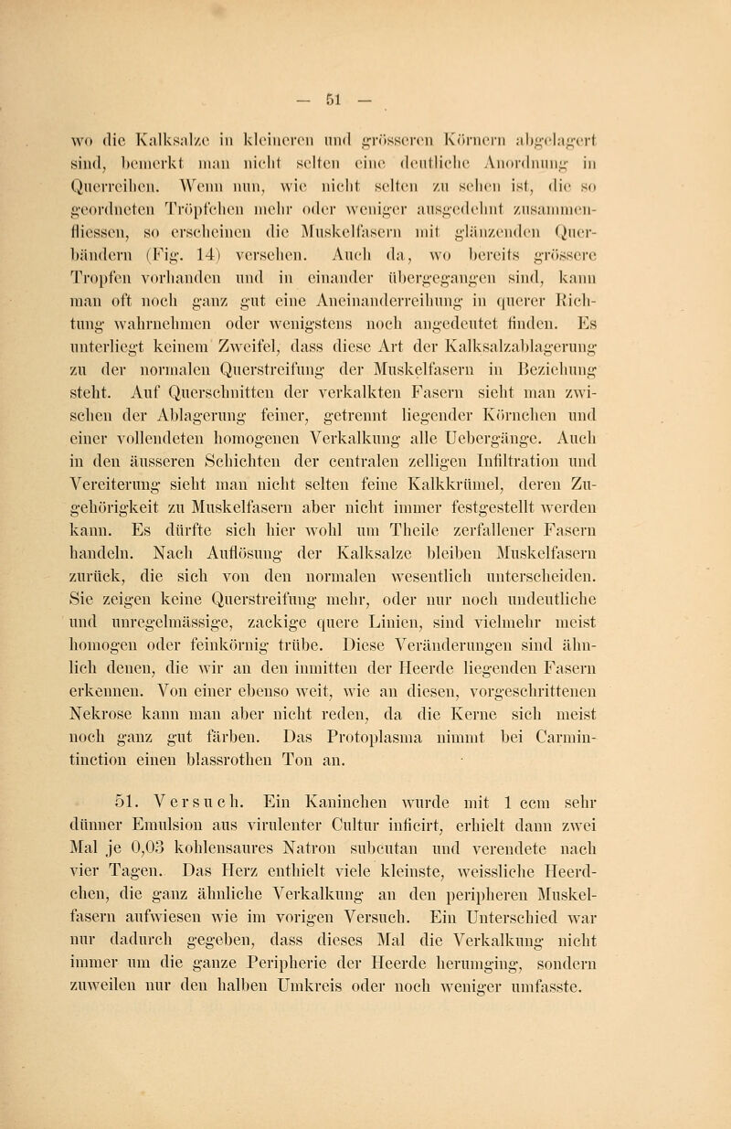 wo die Kalksalze in kleineren und grösseren Körnern abgelagert sind, bemerkt man nicht selten eine deutliche Anordnung in Querreihen. Wenn nun, wie nicht seilen zu sehen isl, die so geordneten Tröpfchen mehr oder weniger ausgedehnt zusammen- lliessen, so erscheinen die Muskelfasern mit glänzenden Quer- bändem (Fig. 14) versehen. Auch da, wo bereits grössere Tropfen vorhanden und in einander übergegangen sind, kann man oft noch ganz gut eine Aneinanderreihung in querer Rich- tung- wahrnehmen oder wenigstens noch angedeutet finden. Es unterliegt keinem Zweifel, dass diese Art der Kalksalzablagerung zu der normalen Querstreifung der Muskelfasern in Beziehung steht. Auf Querschnitten der verkalkten Fasern sieht man zwi- schen der Ablagerung feiner, getrennt liegender Körnehen und einer vollendeten homogenen Verkalkung alle Uebergänge. Auch in den äusseren Schichten der centralen zelligen Infiltration und Vereiterung sieht man nicht selten feine Kalkkrümel, deren Zu- gehörigkeit zu Muskelfasern aber nicht immer festgestellt werden kann. Es dürfte sich hier wohl um Theile zerfallener Fasern handeln. Nach Auflösung der Kalksalze bleiben Muskelfasern zurück, die sich von den normalen wesentlich unterscheiden. Sie zeigen keine Querstreifung mehr, oder nur noch undeutliche und unregelmässige, zackige quere Linien, sind vielmehr meist homogen oder feinkörnig trübe. Diese Veränderungen sind ähn- lich denen, die wir an den inmitten der Heerde liegenden Fasern erkennen. Von einer ebenso weit, wie an diesen, vorgeschrittenen Nekrose kann man aber nicht reden, da die Kerne sich meist noch ganz gut färben. Das Protoplasma nimmt bei Carmin- tinetion einen blassrothen Ton an. 51. Versuch. Ein Kaninchen wurde mit 1 cem sehr dünner Emulsion aus virulenter Cultur inficirt, erhielt dann zwei Mal je 0,03 kohlensaures Natron subcutan und verendete nach vier Tagen. Das Herz enthielt viele kleinste, weissliche Heerd- chen, die ganz ähnliche Verkalkung an den peripheren Muskel- fasern aufwiesen wie im vorigen Versuch. Ein Unterschied war nur dadurch gegeben, dass dieses Mal die Verkalkung nicht immer um die ganze Peripherie der Heerde herumging, sondern zuweilen nur den halben Umkreis oder noch weniger umfasste.