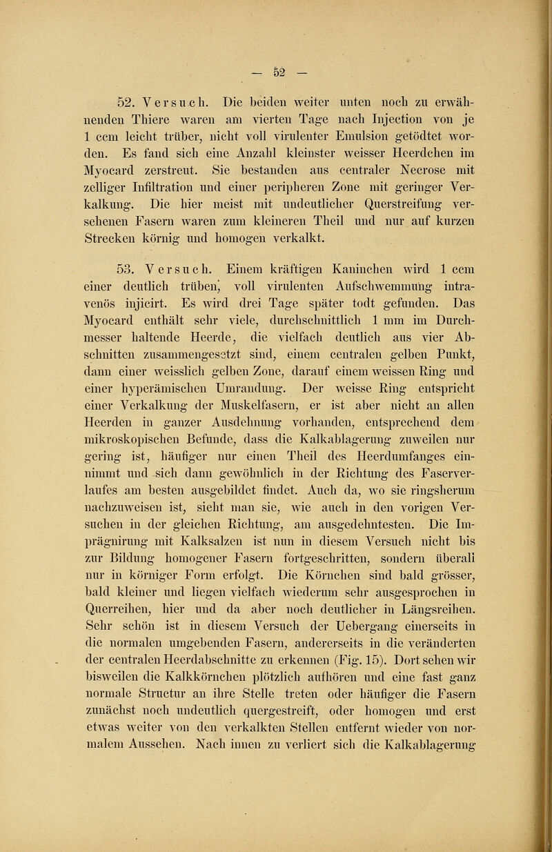 52. Versuch. Die beiden weiter unten noch zu erwäh- nenden Thiere waren am vierten Tage nach Injection von je 1 ccm leicht trüber, nicht voll virulenter Emulsion getödtet wor- den. Es fand sich eine Anzahl kleinster weisser Hcerclchen im Myocard zerstreut. Sie bestanden ans centraler Necrose mit zelliger Infiltration und einer peripheren Zone mit geringer Ver- kalkung. Die hier meist mit undeutlicher Querstreifung ver- sehenen Fasern waren zum kleineren Theil und nur auf kurzen Strecken körnig und homogen verkalkt. 53. Versuch. Einem kräftigen Kaninchen wird 1 ccm einer deutlich trübenj voll virulenten Aufschwemmung intra- venös injicirt. Es wird drei Tage später todt gefunden. Das Myocard enthält sehr viele, durchschnittlich 1 mm im Durch- messer haltende Heerde, die vielfach deutlich aus vier Ab- schnitten zusammengesetzt sind, einem centralen gelben Punkt, dann einer weisslich gelben Zone, darauf einem weissen Ring und einer hyperämischen Umrandung. Der weisse Ring entspricht einer Verkalkung der Muskelfasern, er ist aber nicht an allen Heerden in ganzer Ausdehnung vorhanden, entsprechend dem mikroskopischen Befunde, dass die Kalkablagerung zuweilen nur gering ist, häufiger nur einen Theil des Heerdumfanges ein- nimmt und sich dann gewöhnlich in der Richtung des Faserver- laufes am besten ausgebildet findet. Auch da, wo sie ringsherum nachzuweisen ist, sieht man sie, wie auch in den vorigen Ver- suchen in der gleichen Richtung, am ausgedehntesten. Die Im- prägnirung mit Kalksalzen ist nun in diesem Versuch nicht bis zur Bildung homogener Fasern fortgeschritten, sondern überall nur in körniger Form erfolgt. Die Körnchen sind bald grösser, bald kleiner und liegen vielfach wiederum sehr ausgesprochen in Querreihen, hier und da aber noch deutlicher in Längsreihen. Sehr schön ist in diesem Versuch der Uebergang einerseits in die normalen umgebenden Fasern, andererseits in die veränderten der centralen Heerdabschnitte zu erkennen (Fig. 15). Dort sehen wir bisweilen die Kalkkörnchen plötzlich aufhören und eine fast ganz normale Structur an ihre Stelle treten oder häufiger die Fasern zunächst noch undeutlich quergestreift, oder homogen und erst etwas weiter von den verkalkten Stellen entfernt wieder von nor- malem Aussehen. Nach innen zu verliert sich die Kalkablagerung