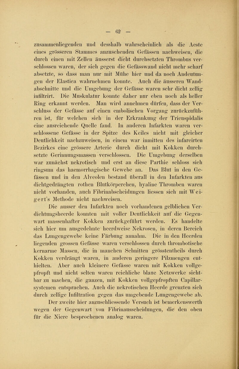 zusammenliegenden und desshalb wahrscheinlich als die Aeste eines grösseren Stammes anzusehenden Gefässen nachweisen, die durch einen mit Zellen äusserst dicht durchsetzten Thrombus ver- schlossen waren, der sich gegen die Gefässwand nicht mehr scharf absetzte, so dass man nur mit Mühe hier und da noch Andeutun- gen der Elastica wahrnehmen konnte. Auch die äusseren Wand- abschnitte und die Umgebung der Gefässe waren sehr dicht zellig infiltrirt. Die Muskulatur konnte daher nur eben noch als heller Ring erkannt werden. Man wird annehmen dürfen, dass der Ver- schluss der Gefässe auf einen embolischen Vorgang zurückzufüh- ren ist, für welchen sich in der Erkrankung der Tricuspidalis eine ausreichende Quelle fand. In anderen Infarkten waren ver- schlossene Gefässe in der Spitze des Keiles nicht mit gleicher Deutlichkeit nachzuweisen, in einem war inmitten des infarcirten Bezirkes eine grössere Arterie durch dicht mit Kokken durch- setzte Gerinnungsmassen verschlossen. Die Umgebung derselben war zunächst nekrotisch und erst an diese Parthie schloss sich ringsum das haemorrhagische Gewebe an. Das Blut in den Ge- fässen und in den Alveolen bestand überall in den Infarkten aus dichtgedrängten rothen Blutkörperchen, hyaline Thromben waren nicht vorhanden, auch Fibrinabscheidungen Hessen sich mit Wei- gert's Methode nicht nachweisen. Die ausser den Infarkten noch vorhandenen gelblichen Ver- dichtungsheerde konnten mit voller Deutlichkeit auf die Gegen- wart massenhafter Kokken zurückgeführt werden. Es handelte sich hier um ausgedehnte; heerdweise Nekrosen, in deren Bereich das Lungengewebe keine Färbung annahm. Die in den Heerden liegenden grossen Gefässe waren verschlossen durch thrombotische kernarme Massen, die in manchen Schnitten grösstenteils durch Kokken verdrängt waren, in anderen geringere Pilzmengen ent- hielten. Aber auch kleinere Gefässe waren mit Kokken vollge- pfropft und nicht selten waren reichliche blaue Netzwerke sicht- bar zu machen, die ganzen, mit Kokken vollgepfropften Capillar- systemen entsprachen. Auch die nekrotischen Heerde grenzten sich durch zellige Infiltration gegen das umgebende Lungengewebe ab. Der zweite hier anzuschliessende Versuch ist bemerkenswerth wegen der Gegenwart von Fibrinausscheidungen, die den oben für die Niere besprochenen analog waren.