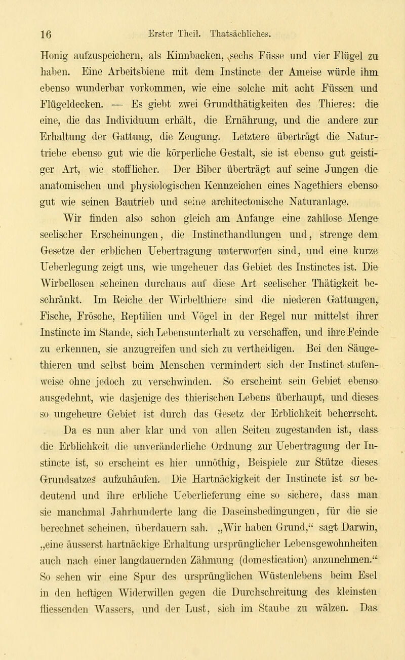 Honig aiifzuspeicheriij als Kinnbacken, ^sechs Füsse und ^ier Flügel zu haben. Eine Arbeitsbiene mit dem Instincte der Ameise würde ihm ebenso wunderbar vorkommen, wie eine solche mit acht Füssen und Flügeldecken. — Es giebt zwei Grrundthätigkeiten des Thieres: die eine, die das Individuum erhält, die Ernährung, und die andere zur Erhaltung der Gattung, die Zeugung. Letztere überträgt die Natur- triebe ebenso gut wie die körperhche Gestalt, sie ist ebenso gut geisti- ger Art, wie stoffhcher. Der Biber überträgt auf seine Jungen die anatomischen und physiologischen Kennzeichen eines Nagethiers ebenso gut wie seinen Bautrieb und seine architectonische Naturanlage. Wir finden also schon gleich am Anfange eine zahllose Menge- seehscher Erscheinungen, die Instincthandlungen und, strenge dem Gesetze der erbhchen Uebertragung unterworfen sind, und eine kurze Ueberlegung zeigt uns, wie ungeheuer das Gebiet des Instinctes ist. Die Wirbellosen scheinen dm'chaus auf diese Art seehscher Thätigkeit be- schränkt. Im Eeiche der Wirbelthiere sind die niederen Gattungen,^ Fische, Frösche, ßeptihen und Vögel in der Regel nur mittelst ihrer Instincte im Stande, sich Lebensunterhalt zu verschaffen, und ihre Feinde zu erkennen, sie anzugreifen und sich zu vertheidigen. Bei den Säuge- thieren und selbst beim Menschen vermindert sich der Instinct stufen- weise ohne jedoch zu verschwinden. So erscheint sein Gebiet ebenso ausgedehnt, wie dasjenige des thierischen Lebens überhaupt, und dieses so ungeheure Gebiet ist durch das Gesetz der Erbhchkeit beherrscht. Da es nun aber klar und von allen Seiten zugestanden ist, dass die Erbhchkeit die unveränderhche Ordnung zur Uebertragung der In- stincte ist, so erscheint es hier unnöthig, Beispiele zur Stütze dieses Grundsatzes aufzuhäufen. Die Hartnäckigkeit der Instincte ist so* be- deutend und ihre erbhche Ueberlieferung eine so sichere, dass man sie manchmal .lahrhunderte lang die Daseinsbedingungen, für die sie berechnet scheinen, überdauern sah, „Wir haben Grund,'' sagt Darwin,, „eine äusserst hartnäckige Erhaltung m-sprünghcher Lebensgewohnheiten, auch nach einer langdauernden Zähmung (domestication) anzunehmen, So sehen wir eine Spur des ursprünghchen Wüstenlebens beim Esel in den heftigen Widerwillen gegen die Durchschreitung des kleinsten fliessendeu Wassers, und der Lust, sich im Staube zu wälzen. Das