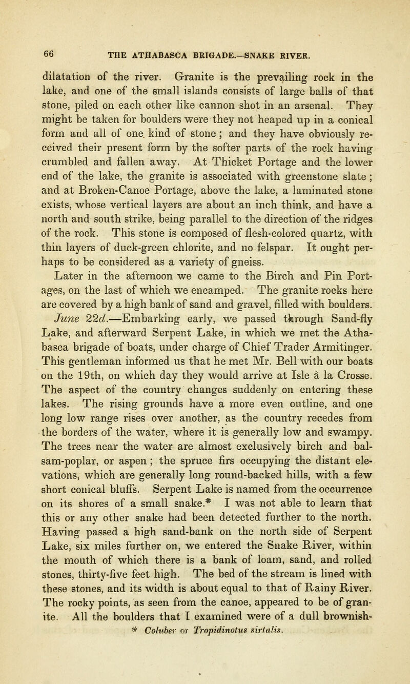 dilatation of the river. Granite is the prevailing rock in the lake, and one of the small islands consists of large balls of that stone, piled on each other like cannon shot in an arsenal. They might be taken for boulders were they not heaped up in a conical form and all of one. kind of stone; and they have obviously re- ceived their present form by the softer parts of the rock having crumbled and fallen away. At Thicket Portage and the lower end of the lake, the granite is associated with greenstone slate; and at Broken-Canoe Portage, above the lake, a laminated stone exists, whose vertical layers are about an inch think, and have a north and south strike, being parallel to the direction of the ridges of the rock. This stone is composed of flesh-colored quartz, with thin layers of duck-green chlorite, and no felspar. It ought per- haps to be considered as a variety of gneiss. Later in the afternoon we came to the Birch and Pin Port- ages, on the last of which we encamped. The granite rocks here are covered by a high bank of sand and gravel, filled with boulders. June 22d.—Embarking early, we passed tferough Sand-fly Lake, and afterward Serpent Lake, in which we met the Atha- basca brigade of boats, under charge of Chief Trader Armitinger. This gentleman informed us that he met Mr. Bell with our boats on the 19th, on which day they would arrive at Isle a la Crosse. The aspect of the country changes suddenly on entering these lakes. The rising grounds have a more even outline, and one long low range rises over another, as the country recedes from the borders of the water, where it is generally low and swampy. The trees near the water are almost exclusively birch and bal- sam-poplar, or aspen; the spruce firs occupying the distant ele- vations, which are generally long round-backed hills, with a few short conical bluffs. Serpent Lake is named from the occurrence on its shores of a small snake.* I was not able to learn that this or any other snake had been detected further to the north. Having passed a high sand-bank on the north side of Serpent Lake, six miles further on, we entered the Snake River, within the mouth of which there is a bank of loam, sand, and rolled stones, thirty-five feet high. The bed of the stream is lined with these stones, and its width is about equal to that of Rainy River. The rocky points, as seen from the canoe, appeared to be of gran- ite. All the boulders that I examined were of a dull brownish- * Coluber or Tropidinotus sirtalis.