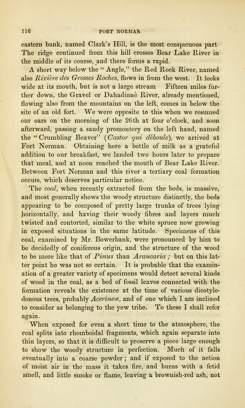 eastern bank, named Clark's Hill, is the most conspicuous part The ridge continued from this hill crosses Bear Lake River in the middle of its course, and there forms a rapid. A short way below the  Angle, the Red Rock River, named also Rivih'e des G?vsses Roches, flows in from the west. It looks wide at its mouth, but is not a large stream Fifteen miles fur- ther down, the Gravel or Dahadinne River, already mentioned, flowing also from the mountains on the left, comes in below the site of an old fort. We were opposite to this when we resumed our oars on the morning of the 26th at four o'clock, and soon afterward, passing a sandy promontory on the left hand, named the Crumbling Beaver [Castor qui deboide), we arrived at Fort Norman. Obtaining here a bottle of milk as a grateful addition to our breakfast, we landed two hours later to prepare that meal, and at noon reached the mouth of Bear Lake River. Between Fort Norman and this river a tertiary coal formation occurs, which deserves particular notice. The coal, when recently extracted from the beds, is massive, and most generally shows the woody structure distinctly, the beds appearing to be composed of pretty large trunks of trees lying horizontally, and having their woody fibres and layers much twisted and contorted, similar to the white spruce now growing in exposed situations in the same latitude. Specimens of this coal, examined by Mr. Bovverbank, were pronounced by him to be decidedly of coniferous origin, and the structure of the wood to be more like that of Pinus than Araucaria ; but on this lat- ter point he was not so certain. It is probable that the examin- ation of a greater variety of specimens would detect several kinds of wood in the coal, as a bed of fossil leaves connected with the formation reveals the existence at the time of various dicotyle- donous trees, probably AcerinecB, and of one which I am inclined to consider as belonging to the yew tribe. To these I shall refer again. When exposed for even a short time to the atmosphere, the coal splits into rhomboidal fragments, which again separate into thin layers, so that it is difficult to preserve a piece large enough to show the woody structure in perfection. Much of it falls eventually into a coarse powder ; and if exposed to the action of moist air in the mass it takes fire, and burns with a fetid smell, and little smoke or flame, leaving a brownish-red ash, not