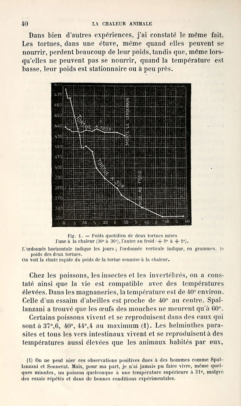 Dans bien d'autres expériences, j'ai constaté le même fait. Les tortues, dans une étuve, même quand elles peuvent se nourrir, perdent beaucoup de leur poids, tandis que, même lors- qu'elles ne peuvent pas se nourrir, quand la température est basse, leur poids est stationnaire ou à peu près. [^MiWUBilIMMI^^WM m|HH|H| Fig. 1. — Poids quotidien de deux tortues mises l'une à la chaleur (30° à 36°), l'autre au froid i + 9° à + 1°). L'ordonnée horizontale indique les jours ; l'ordonnée verticale indique, en grammes, lo poids des deux tortues. On volt la chute rapide du poids de la tortue soumise à la chaleur. Chez les poissons, les insectes et les invertébrés, on a cons- taté ainsi que la vie est compatible avec des températures élevées. Dans les magnanei'ies, la température est de 40 environ. Celle d'un essaim d'abeilles est proche de 40° au centre. Spal- lanzani a trouvé que les œufs des mouches ne meurent qu'à 60°. Certains poissons vivent et se reproduisent dans des eaux qui sont à37°,6, 40°, 44°,4 au maximum (1). Les helminthes para- sites et tous les vers intestinaux vivent et se reproduisent à des températures aussi élevées que les animaux habités par eux,. (1) On ne peut nier ces observations positives dues à des hommes comme Spal- lanzani et Sonnerat. Mais, pour ma part, je n'ai jamais pu faire vivre, même quel- ques minutes, un poisson quelconque à une température supérieure à 31°, malgré des essais répétés et dans de bonnes conditions expérimentales.
