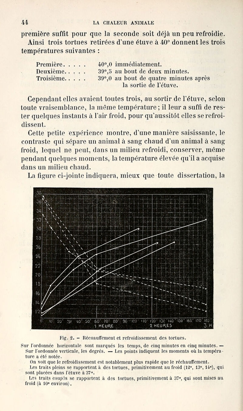 première suffit pour que la seconde soit déjà un peu refroidie. Ainsi trois tortues retirées d'une étuve à 40'^ donnent les trois températures suivantes : Première 40°,0 immédiatement. Deuxième 39°,5 au bout de deux minutes. Troisième 39°,0 au bout de quatre minutes après la sortie de l'étuve. Cependant elles avaient toutes trois, au sortir de Tétuve, selon toute vraisemblance, la môme température ; il leur a suffi de res- ter quelques instants à Fair froid, pour qu'aussitôt elles se refroi- dissent. Cette petite expérience montre, d'une manière saisissante, le contraste qui sépare un animal à sang chaud d'un animal à sang froid, lequel ne peut, dans un milieu refroidi, conserver, môme pendant quelques moments, la température élevée qu'il a acquise dans un milieu chaud. La figure ci-jointe indiquera, mieux que toute dissertation, la Fig. 2. - Récnauffement et refroidissement des tortues. Sur Fordonnée horizontale sont marqués les temps, de cinq minutes en cinq minutes. — Sur l'ordonnée verticale, les degrés. — Les points indiquent les moments où la tempéra- ture a été notée. On voit que le refroidissement est notablement plus rapide que le réchauffement. Les traits pleins se rapportent à des tortues, primitivement au froid (12°, 13°, 14»), qui sont placées dans l'étuve à 37». Les traits coupis se rappo)'tent à des tortues, primitivement à 37», qui sont mises au froid (à 10° environ).