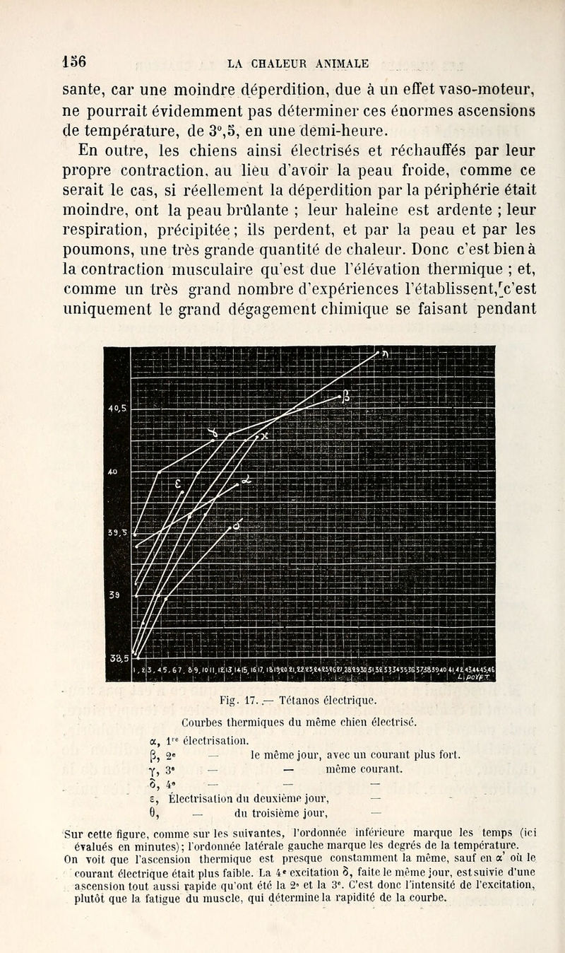 santé, car une moindre déperdition, due à un effet vaso-moteur, ne pourrait évidemment pas déterminer ces énormes ascensions de température, de 3°,5, en une demi-heure. En outre, les chiens ainsi électrisés et réchauffés par leur propre contraction, au lieu d'avoir la peau froide, comme ce serait le cas, si réellement la déperdition par la périphérie était moindre, ont la peau brûlante ; leur haleine est ardente ; leur respiration, précipitée ; ils perdent, et par la peau et par les poumons, une très grande quantité de chaleur. Donc c'est bien à la contraction musculaire qu'est due l'élévation thermique ; et, comme un très grand nombre d'expériences rétablissent,^c'est uniquement le grand dégagement chimique se faisant pendant WÊBÊ^BB^^BÊSSik WÊM wj^^^^^^S^^^S^^^^^^^^^^^^^^^^^^S^^^^^^^^^^^^^S^^^S^^^^^ mm p m/m ^^^^^^^^^^^^^^^^^^^^^^^^^B^^^^^^^^^^^^^^^^k mM^ÈÊÊÊÊÊÊgÊ^M Fig. 17..— Tétanos électrique. Courbes thermiques du même chien électrisé. ' électrisation. — le même jour, avec un courant plus fort. — — même courant. £, Électrisation du deuxième jour, — 6, — du troisième jour, — Sur cette figure, comme sur les suivantes, l'ordonnée inférieure marque les temps (ici évalués en minutes) ; l'ordonnée latérale gauche marque les degrés de la température. On voit que l'ascension thermique est presque constamment la même, sauf en a' où le courant électrique était plus faible. La 4' excitation §, faite le même jour, estsuivie d'une ascension tout aussi rapide qu'ont été la 2» et la 3°. C'est donc l'intensité de l'excitation, plutôt que la fatigue du muscle, qui détermine la rapidité de la courbe.