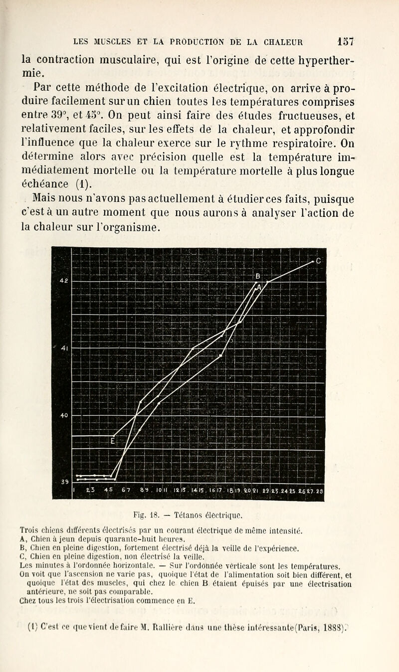 la contraction musculaire, qui est l'origine de cette hyperther- mie. Par cette méthode de l'excitation électrique, on arrive à pro- duire facilement sur un chien toutes les températures comprises entre 39°, et 43°. On peut ainsi faire des études fructueuses, et relativement faciles, sur les effets de la chaleur, et approfondir l'influence que la chaleur exerce sur le rythme respiratoire. On détermine alors avec précision quelle est la température im- médiatement mortelle ou la température mortelle à plus longue échéance (1). Mais nous n'avons pas actuellement à étudier ces faits, puisque c'est à un autre moment que nous aurons à analyser l'action de la chaleur sur l'organisme. Fig. 18. — Tctanos élcctrkiuc. Trois chiens différents élcctrisés par un courant électrique de même intcusilé. A, Chien à jeun depuis quarante-huit heures. K, Chien en pleine digestion, fortement élcctrisô déjà la veille de l'expérience. C, Chien en pleine digestion, non éicctrisé la veille. Les minutes à l'ordonnée horizontale. — Sur l'ordonnée verticale sont les températures. On voit que l'ascension ne varie pas, quoique létal de l'alimentation soit bien différent, et quoique l'état des muscles, qui chez le chien B étaient épuisés par une électrisation antérieure, ne soit pas comparahle. Chez tous les trois l'électrisation commence en E. (l) C'est ce ipievient défaire M. Rallière dans une tlièse intéressante(Paris, 1888).