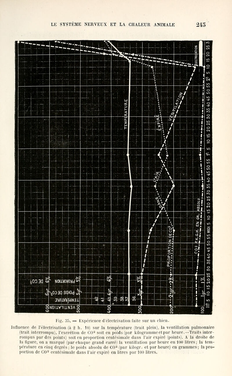 l'ij,'. li.'i. — l'^xpcriciicc d'clcctrisaliuii liiilc sur au chien. Influence de lV;lcctrisalion (à 2 h. 10) sur la température (trait plein), Li vcntiliation pulmonaire (^trait interrompu), l'excrétion de CO^ soit en poids (par kilof^ramnicetpar heure.—Traits inter- rompus par des points) soit en proportion centésimale dans l'air expiré (points). A la droite do la (if,'urc, on a marqué (par cliariue f^rand carré) la ventillation par heure en 100 litres ; la tem- Vératurc en cinri degrés; le poids absolu de CO^ (par kilogr. et par heure) en grammes; la pro- Iiortion de CO'-' centésimale dans l'air expiré en litres par lOU litres.