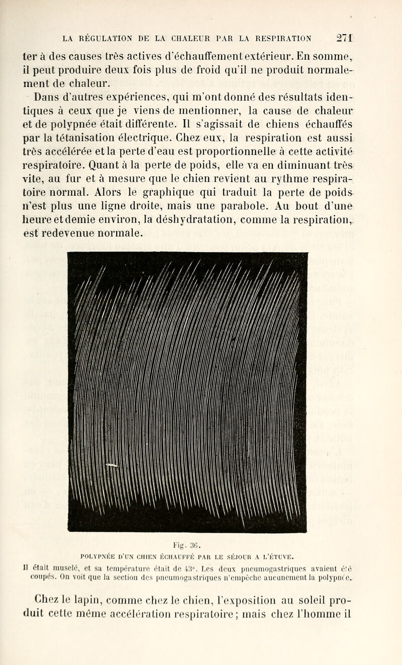 ter à des causes très actives d'échauffement extérieur. En somme, il peut produire deux fois plus de froid qu'il ne produit normale- ment de chaleur. Dans d'autres expériences, qui m'ont donné des résultats iden- tiques à ceux que je viens de mentionner, la cause de chaleur et de polypnée était différente. Il s'agissait de chiens échauffés par la tétanisation électrique. Chez eux, la respiration est aussi très accélérée et la perte d'eau est proportionnelle à cette activité respiratoire. Quant à la perte de poids, elle va en diminuant très vite, au fur et à mesure que le chien revient au rythme respira- toire normal. Alors le graphique qui traduit la perte de poids n'est plus une ligne droite, mais une parabole. Au bout d'une heureetdemie environ, la déshydratation, comme la respiration,. est redevenue normale. rOLVI'NliE d'un CHIKN liOHAUl'FK PAR LE SÉJOUIl A 1,'ÉTUVE. Il était muselé, et sa température était de ili. F,os deux pncuniogaslriques avaient é'é coupés. On voit que la section des pneuinogaslri(|urs nCiiipêelie aueunemeiil la polypiu r. Chez le lapin, comme clicz le chien, l'exposition au soleil pro- duit cette même accéliM-atioii icspiiatoire; mais chez rhommc il