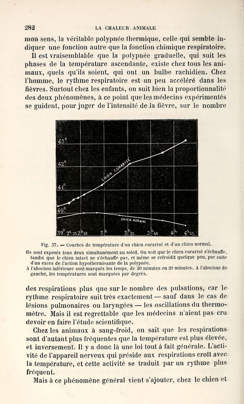 mon sens, la véritable polypnée thermique, celle qui semble in- diquer une fonction autre que la fonction chimique respiratoire. Il est vraisemblable que la polypnée graduelle, qui suit les phases de la température ascendante, existe chez tous les ani- maux, quels qu'ils soient, qui ont un bulbe rachidien. Chez l'homme, le rythme respiratoire est un peu accéléré dans les fièvres. Surtout chez les enfants, on suit bien la proportionnalité des deux phénomènes, à ce point que les médecins expérimentés se guident, pour juger de l'intensité de la fièvre, sur le nombre Fig. 37. — Courbes de température d'un chien curarisé et d'un chien normal. Ils sont exposés tous deux simultanément au soleil. On voit que le chien curarisé s'échauffe, tandis que le chien intact ne s'échauffe pas, et même se refroidit quelque peu, par suite d'un excès de l'action hypothermisante de la polypnée. A l'abscisse inférieure sont marqués les temps, de 20 minutes en 20 minutes. A l'abscisse do gauche, les températures sont marquées par degrés. des respirations plus que sur le nombre des pulsations, car le rythme respiratoire suit très exactement — sauf dans le cas de lésions pulmonaires ou laryngées — les oscillations du thermo- mètre. Mais il est regrettable que les médecins n'aient pas cru devoir en faire l'étude scientifique. Chez les animaux à sang-froid, on sait que les respirations sont d'autant plus fréquentes que la température est plus élevée, et inversement. Il y a donc là une loi tout à fait générale. L'acti- vité de l'appareil nerveux qui préside aux respirations croit avec la température, et cette activité se traduit par un rythme plus fréquent. Mais à ce phénomène général vient s'ajouter, chez le chien et