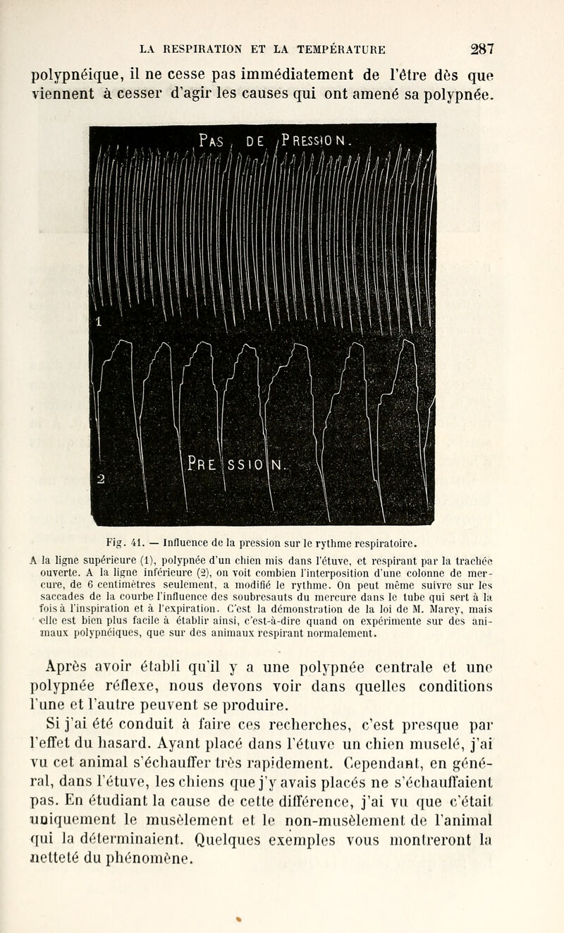 polypnéique, il ne cesse pas immédiatement de l'être dès que viennent à cesser d'agir les causes qui ont amené sa polypnée. Pas , DE /Pression. miiiÊMÊiâiii aAAmm r / PreIssio N Fig. 41. — Influence de la pression sur le rythme respiratoire. A la ligne supérieure (1), polypnée d'un chien mis dans l'étuve, et respirant par la trachée ouverte. A la ligne inférieure (2), on voit combien l'interposition d'une colonne de mer- cure, de 6 centimètres seulement, a modifié le rythme. On peut même suivre sur les saccades de la courbe l'influence des soubresauts du mercure dans le tube qui sert à la fois à l'inspiration et à l'expiration. C'est la démonstration de la loi de M. Marey, mais «lie est bien plus facile à établir ainsi, c'est-à-dire quand on expérimente sur des ani- maux polypnéiques, que sur des animaux respirant normalement. Après avoir établi qu'il y a une polypnée centrale et une polypnée réflexe, nous devons voir dans quelles conditions Tune et l'autre peuvent se produire. Si j'ai été conduit à faire ces recherches, c'est presque par l'effet du hasard. Ayant placé dans l'étuve un chien muselé, j'ai vu cet animal s'échauffer très rapidement. Cependant, en géné- ral, dans l'étuve, les chiens que j'y avais placés ne s'échauffaient pas. En étudiant la cause de cette différence, j'ai vu que c'était uniquement le musèlement et le non-musèlement de l'animal qui la déterminaient. Quelques exemples vous montreront la netteté du phénomène.