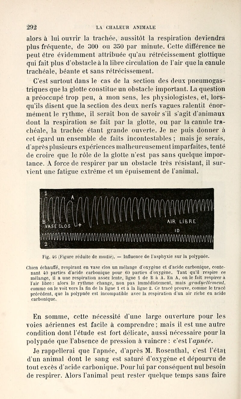 alors à lui ouvrir la trachée, aussitôt la respiration deviendra plus fréquente, de 300 ou 3S0 par minute. Cette différence ne peut être évidemment attribuée qu'au rétrécissement glottique qui fait plus d'obstacle à la libre circulation de l'air que la canule trachéale, béante et sans rétrécissement. C'est surtout dans le cas de la section des deux pneumogas- triques que la glotte constitue un obstacle important. La question a préoccupé trop peu, à mon sens, les physiologistes, et, lors- qu'ils disent que la section des deux nerfs vagues ralentit énor- mément le rythme, il serait bon de savoir s'il s'agit d'animaux dont la respiration se fait par la glotte, ou par la canule tra- chéale, la trachée étant grande ouverte. Je ne puis donner à cet égard un ensemble de faits incontestables ; mais je serais, d'après plusieurs expériences malheureusement imparfaites, tenté de croire que le rôle de la glotte n'est pas sans quelque impor- tance. A force de respirer par un obstacle très résistant, il sur- vient une fatigue extrême et un épuisement de l'animal. OY) r.^ f\[\ [\[\(\f\[\r]i^f\r)i n/1 rin A An n/i nn n/ifl/ 1 \ \ \ .VASECLOS U+ \ < Fig. 46 (Figure réduite de moitié). — Influence de l'asphyxie sur la polypnée. Chien échauffé, respirant en vase clos un mélange d'oxygène et d'acide carbonique, conte- nant 40 parties d'acide carbonique pour 60 parties d'oxygène. Tant qu'il respire ce mélange, il a une respiration assez lente, ligne 1 de B à A. En A, on le fait respirer à l'air libre : alors le rythme change, non pas immédiatement, mais graduellement. comme on le voit vers la fm de la ligne 1 et à la ligne 2. Ce tracé prouve, comme le tracé précédent, que la polypnée est incompatible avec la respiration d'un air riche en acide carbonique. En somme, cette nécessité d'une large ouverture pour les voies aériennes est facile à comprendre ; mais il est une autre condition dont l'étude est fort délicate, aussi nécessaire pour la polypnée que l'absence de pression à vaincre : c'est ïapnée. Je rappellerai que l'apnée, d'après M. Rosenthal, c'est l'état d'un animal dont le sang est saturé d'oxygène et dépourvu de tout excès d'acide carbonique. Pour lui par conséquent nul besoin de respirer. Alors l'animal peut rester quelque temps sans faire