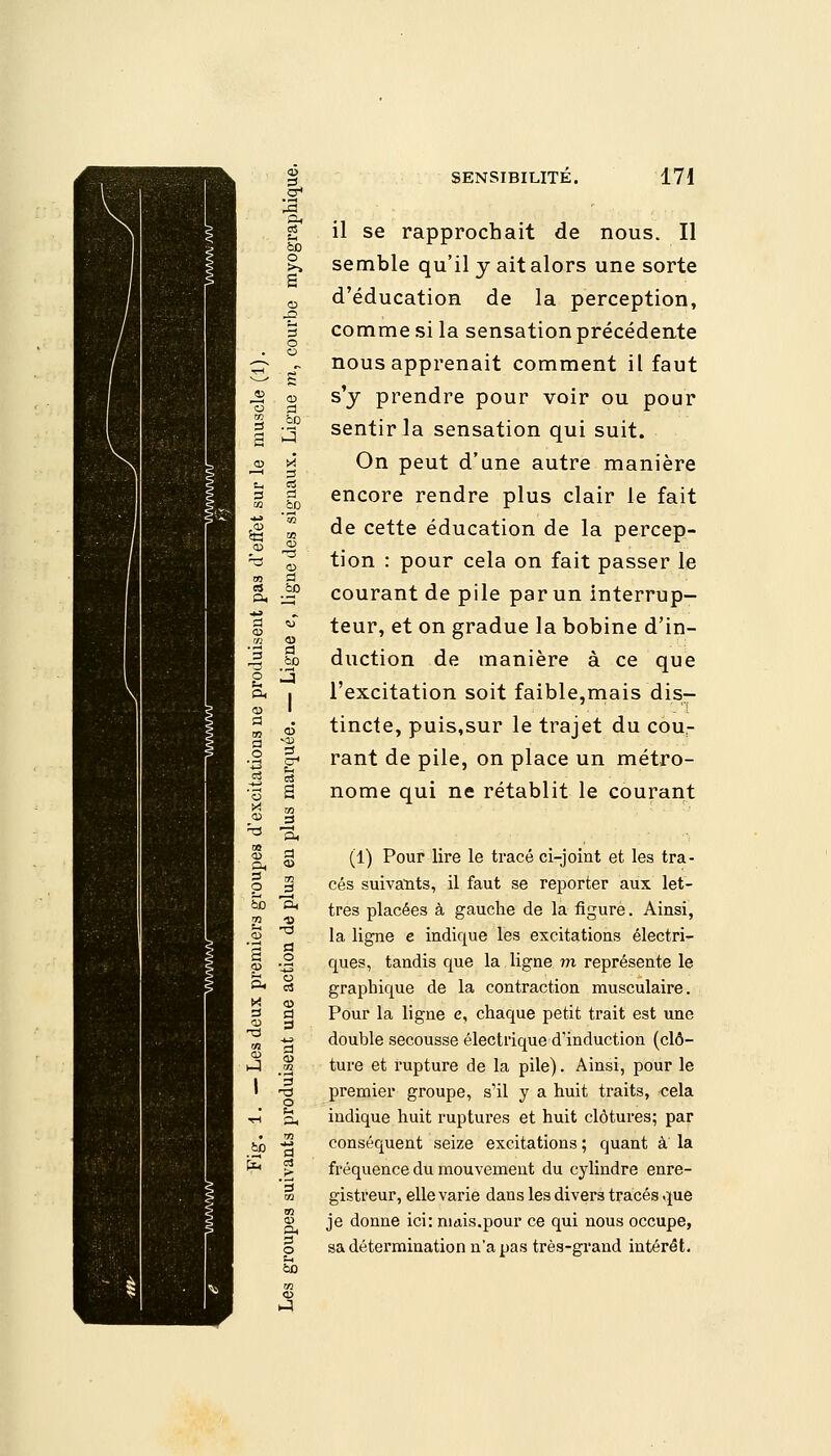 eu as 0< —j X o 3 a o 9 TJ ai 1 3 1 T3 O « ▼H Ph 9 m ta £ '3 m m O P* 3 il se rapprochait de nous. Il semble qu'il y ait alors une sorte d'éducation de la perception, comme si la sensation précédente nous apprenait comment il faut s'y prendre pour voir ou pour sentir la sensation qui suit. On peut d'une autre manière encore rendre plus clair le fait de cette éducation de la percep- tion : pour cela on fait passer le courant de pile par un interrup- teur, et on gradue la bobine d'in- duction de manière à ce que l'excitation soit faible,mais dis- tincte, puis,sur le trajet du cou- rant de pile, on place un métro- nome qui ne rétablit le courant (1) Pour lire le tracé ci-joint et les tra- cés suivants, il faut se reporter aux let- tres placées à gauche de la figuré. Ainsi, la ligne e indique les excitations électri- ques, tandis que la ligne m représente le graphique de la contraction musculaire. Pour la ligne e, chaque petit trait est une double secousse électrique d'induction (clô- ture et rupture de la pile). Ainsi, pour le premier groupe, s'il y a huit traits, cela indique huit ruptures et huit clôtures; par conséquent seize excitations ; quant à la fréquence du mouvement du cylindre enre- gistreur, elle varie dans les divers tracés que je donne ici: niais.pour ce qui nous occupe, sa détermination n'a pas très-grand intérêt.