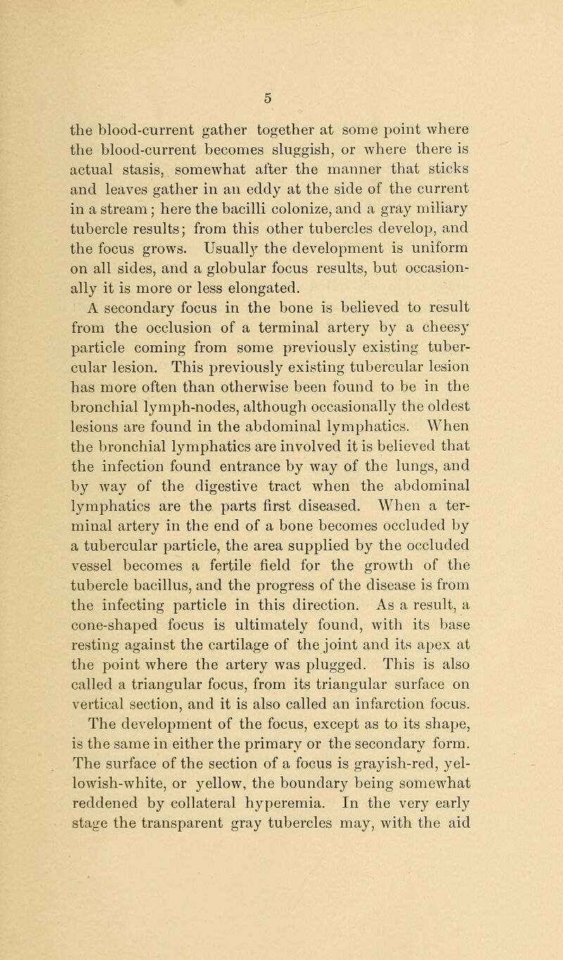 the blood-current gather together at some point where the blood-current becomes sluggish, or where there is actual stasis, somewhat after the manner that sticks and leaves gather in an eddy at the side of the current in a stream; here the bacilli colonize, and a gray miliary tubercle results; from this other tubercles develop, and the focus grows. Usuallj'^ the development is uniform on all sides, and a globular focus results, but occasion- ally it is more or less elongated. A secondary focus in the bone is believed to result from the occlusion of a terminal artery by a cheesy particle coming from some previously existing tuber- cular lesion. This previously existing tubercular lesion has more often than otherwise been found to be in the bronchial lymph-nodes, although occasionally the oldest lesions are found in the abdominal lymphatics. When the bronchial lymphatics are involved it is believed that the infection found entrance by way of the lungs, and by way of the digestive tract when the abdominal lymj^hatics are the j)arts first diseased. When a ter- minal artery in the end of a bone becomes occluded by a tubercular particle, the area supplied by the occluded vessel becomes a fertile field for the growth of the tubercle bacillus, and the progress of the disease is from the infecting particle in this direction. As a result, a cone-shaped focus is ultimately found, with its base resting against the cartilage of the joint and its apex at the point where the artery was plugged. This is also called a triangular focus, from its triangular surface on vertical section, and it is also called an infarction focus. The development of the focus, except as to its shape, is the same in either the primary or the secondary form. The surface of the section of a focus is grayish-red, yel- lowish-white, or yellow, the boundary being somewhat reddened by collateral hyperemia. In the very early stage the transparent gray tubercles may, with the aid