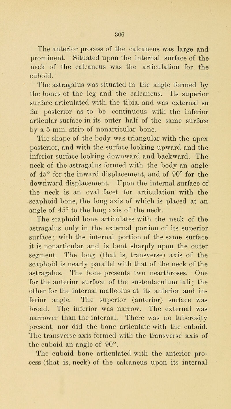 The anterior process of the calcaneus was large and prominent. Situated upon the internal surface of the neck of the calcaneus was the articulation for the cuboid. The astragalus was situated in the angle formed by the bones of the leg and the calcaneus. Its superior surface articulated with the tibia, and was external so far posterior as to be continuous with the inferior articular surface in its outer half of the same surface by a 5 mm. strip of nonarticular bone. The shape of the body was triangular with the apex posterior, and with the surface looking upward and the inferior surface lookipg downward and backward. The neck of the astragalus formed with the body an angle of 45° for the inward displacement, and of 90° for the downward displacement. Upon the internal surface of the neck is an oval facet for articulation with the • scaphoid bone, the long axis of which is placed at an angle of 45° to the long axis of the neck. The scaphoid bone articulates with the neck of the astragalus only in the external portion of its superior surface; with the internal portion of the same surface it is nonarticular and is bent sharply upon the outer segment. The long (that is, transverse) axis of the scaphoid is nearly parallel with that of the neck of the astragalus. The bone presents two nearthroses. One for the anterior surface of the sustentaculum tali; the other for the internal malleolus at its anterior and in- ferior angle. The superior (anterior) surface was broad. The inferior was narrow. The external was narrower than the internal. There was no tuberosity present, nor did the bone articulate with the cuboid. The transverse axis formed with the transverse axis of the cuboid an angle of 9Q°. The cuboid bone articulated with the anterior pro- cess (that is, neck) of the calcaneus upon its internal