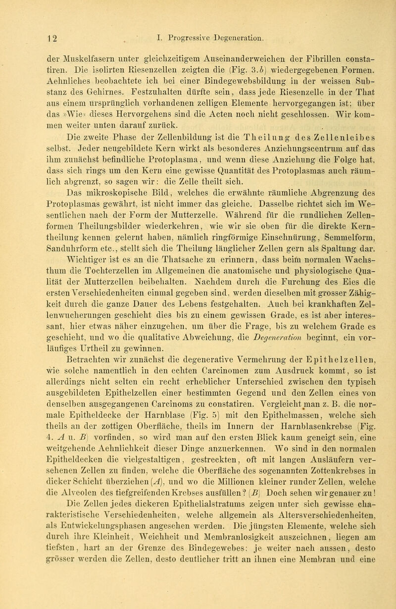 der Muskelfasern unter gleichzeitigem Auseinanderweichen der Fibrillen consta- tiren. Die isolirten Riesenzellen zeigten die (Fig. 3.5) wiedergegebenen Formen. Aehnliches beobachtete ich bei einer Bindegewebsbildung in der weissen Sub- stanz des Gehirnes. Festzuhalten dürfte sein, dass jede Riesenzelle in der That aus einem Ursprünglich vorhandenen zelligen Elemente hervorgegangen ist; über das »Wie« dieses Hervorgehens sind die Acten noch nicht geschlossen. Wir kom- men weiter unten darauf zurück. Die zweite Phase der Zellenbildung istdieTheilung des Zellenleibes selbst. Jeder neugebildete Kern wirkt als besonderes Anziehungscentrum auf das ihm zunächst befindliche Protoplasma, und wenn diese Anziehung die Folge hat, dass sich rings um den Kern eine gewisse Quantität des Protoplasmas auch räum- lich abgrenzt, so sagen wir: die Zelle theilt sich. Das mikroskopische Bild, welches die erwähnte räumliche Abgrenzung des Protoplasmas gewährt, ist nicht immer das gleiche. Dasselbe richtet sich im We- sentlichen nach der Form der Mutterzelle. Während für die rundlichen Zellen- formen Theilungsbilder wiederkehren, wie wir sie oben für die direkte Kern- theilung kennen gelernt haben, nämlich ringförmige Einschnürung, Semmelform, Sanduhrform etc., stellt sich die Theilung länglicher Zellen gern als Spaltung dar. Wichtiger ist es an die Thatsache zu erinnern, dass beim normalen Wachs- thum die Tochterzellen im Allgemeinen die anatomische und physiologische Qua- lität der Mutterzellen beibehalten. Nachdem durch die Furchung des Eies die ersten Verschiedenheiten einmal gegeben sind, werden dieselben mit grosser Zähig- keit durch die ganze Dauer des Lebens festgehalten. Auch bei krankhaften Zel- lenwucherungen geschieht dies bis zu einem gewissen Grade, es ist aber interes- sant, hier etwas näher einzugehen, um über die Frage, bis zu welchem Grade es geschieht, und wo die qualitative Abweichung, die Degeneration beginnt, ein vor- läufiges Urtheil zu gewinnen. Betrachten wir zunächst die degenerative Vermehrung der Epithelzellen, wie solche namentlich in den echten Carcinomen zum Ausdruck kommt, so ist allerdings nicht selten ein recht erheblicher Unterschied zwischen den typisch ausgebildeten Epithelzellen -einer bestimmten Gegend und den Zellen eines von denselben ausgegangenen Carcinoms zu constatiren. Vergleicht man z. B. die nor- male Epitheldecke der Harnblase (Fig. 5) mit den Epithelmassen, welche sich theils an der zottigen Oberfläche, theils im Innern der Harnblasenkrebse (Fig. 4. A u. B) vorfinden, so wird man auf den ersten Blick kaum geneigt sein, eine weitgehende Aehnlichkeit dieser Dinge anzuerkennen. Wo sind in den normalen Epitheldecken die vielgestaltigen, gestreckten, oft mit langen Ausläufern ver- sehenen Zellen zu finden, welche die Oberfläche des sogenannten Zottenkrebses in dicker Schicht überziehen (A), und wo die Millionen kleiner runder Zellen, welche die Alveolen des tiefgreifenden Krebses ausfüllen? (B) Doch sehen wir genauer zu! Die Zellen jedes dickeren Epithelialstratums zeigen unter sich gewisse cha- rakteristische Verschiedenheiten, welche allgemein als Altersverschiedenheiten, als Entwickelungsphasen angesehen werden. Die jüngsten Elemente, welche sich durch ihre Kleinheit, Weichheit und Membranlosigkeit auszeichnen, liegen am tiefsten, hart an der Grenze des Bindegewebes: je weiter nach aussen, desto grösser werden die Zellen, desto deutlicher tritt an ihnen eine Membran und eine