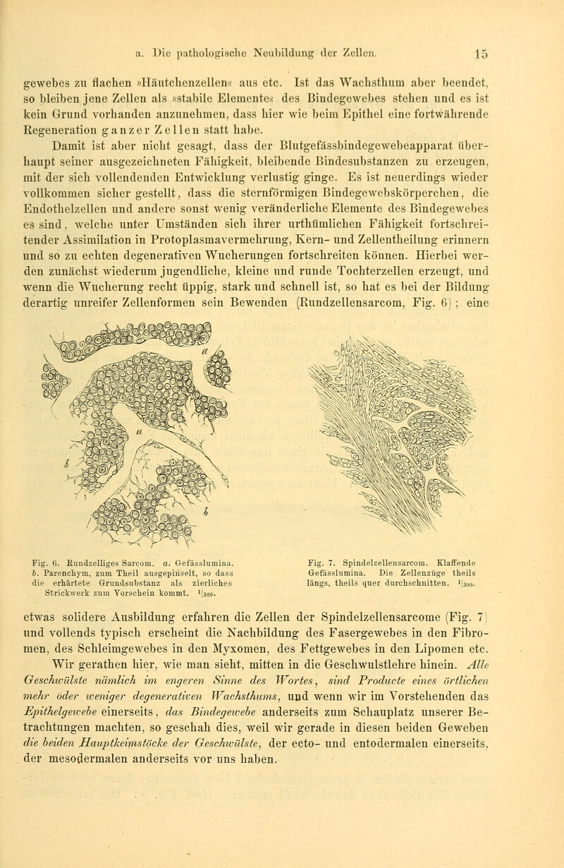 gewebes zu flachen »Häutchenzellen« aus etc. Ist das Wachsthum aber beendet, so bleiben jene Zellen als »stabile Elemente« des Bindegewebes stehen und es ist kein Grund vorhanden anzunehmen, dass hier wie beim Epithel eine fortwährende Regeneration ganzer Zellen statt habe. Damit ist aber nicht gesagt, dass der Blutgefässbindegewebeapparat über- haupt seiner ausgezeichneten Fähigkeit, bleibende Bindesubstanzen zu erzeugen, mit der sich vollendenden Entwicklung verlustig ginge. Es ist neuerdings wieder vollkommen sicher gestellt, dass die sternförmigen Bindegewebskörperchen, die Endothelzellen und andere sonst wenig veränderliche Elemente des Bindegewebes es sind, welche unter Umständen sich ihrer urthümlichen Fähigkeit fortschrei- tender Assimilation in Protoplasmavermehrung, Kern- und Zellentheilung erinnern und so zu echten degenerativen Wucherungen fortschreiten können. Hierbei wer- den zunächst wiederum jugendliche, kleine und runde Tochterzellen erzeugt, und wenn die Wucherung recht tippig, stark und schnell ist, so hat es bei der Bildung derartig unreifer Zellenformen sein Bewenden (Rundzellensarcom, Fig. 6) ; eine Fig. 6. Kundzelliges Sarcom. a. Gefässlumina. 6. Parenchym, zum Theil ausgepinselt, so dass die erhärtete Grundsubstanz als zierliches Strickwerk zum Vorschein kommt. 1koo- Fig. 7. Spindelzellensarcom. Klaffende Gefässlumina. Die Zellenziige theils längs, theils quer durchschnitten. 1)300- etwas solidere Ausbildung erfahren die Zellen der Spindelzellensarcome (Fig. 7) und vollends typisch erscheint die Nachbildung des Fasergewebes in den Fibro- men, des Schleimgewebes in den Myxomen, des Fettgewebes in den Lipomen etc. Wir gerathen hier, wie man sieht, mitten in die Geschwulstlehre hinein. Alle Geschivülsie nämlich im engeren Sinne des Wortes, sind Producte eines örtlichen mehr öder tueniger degenerativen IVachsthums, und wenn wir im Vorstehenden das Epithelgewebe einerseits, das Bindegewebe anderseits zum Schauplatz unserer Be- trachtungen machten, so geschah dies, weil wir gerade in diesen beiden Geweben die beiden Hauptkeimstöche der Geschwülste, der ecto- und entodermalen einerseits, der mesodermalen anderseits vor uns haben.