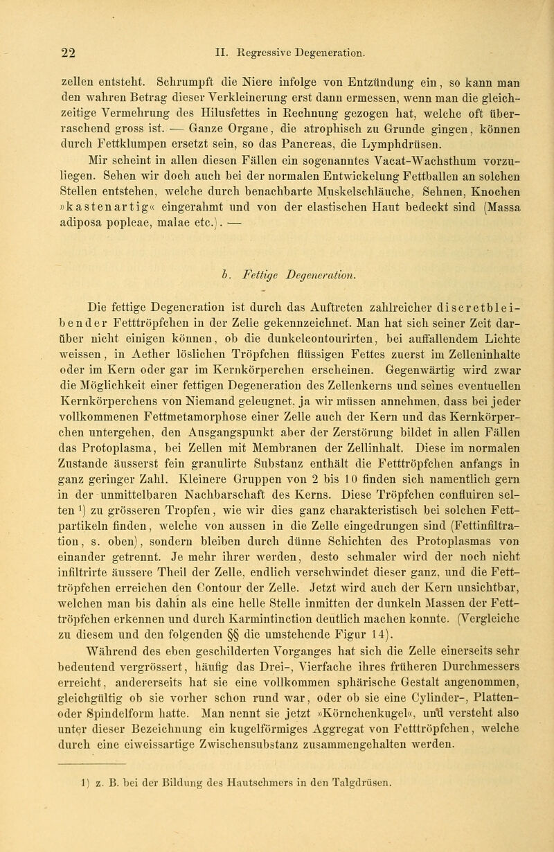 zellen entstellt. Schrumpft die Niere infolge von Entzündung ein, so kann man den wahren Betrag dieser Verkleinerung erst dann ermessen, wenn man die gleich- zeitige Vermehrung des Hilusfettes in Rechnung gezogen hat, welche oft über- raschend gross ist. -— Ganze Organe, die atrophisch zu Grunde gingen, können durch Fettklumpen ersetzt sein, so das Pancreas, die Lymphdrüsen. Mir scheint in allen diesen Fällen ein sogenanntes Vacat-Wachsthum vorzu- liegen. Sehen wir doch auch bei der normalen Entwickelung Fettballen an solchen Stellen entstehen, welche durch benachbarte Muskelschläuche, Sehnen, Knochen »k asten artig« eingerahmt und von der elastischen Haut bedeckt sind (Massa adiposa popleae, malae etc.). — b. Fettige Degeneration. Die fettige Degeneration ist durch das Auftreten zahlreicher discretblei- bender Fetttröpfchen in der Zelle gekennzeichnet. Man hat sich seiner Zeit dar- über nicht einigen können, ob die dunkelcontourirten, bei auffallendem Lichte weissen, in Aether löslichen Tröpfchen flüssigen Fettes zuerst im Zelleninhalte oder im Kern oder gar im Kernkörpereken erscheinen. Gegenwärtig wird zwar die Möglichkeit einer fettigen Degeneration des Zellenkerns und seines eventuellen Kernkörperchens von Niemand geleugnet, ja wir müssen annehmen, dass bei jeder vollkommenen Fettmetamorphose einer Zelle auch der Kern und das Kernkörper- chen untergehen, den Ausgangspunkt aber der Zerstörung bildet in allen Fällen das Protoplasma, bei Zellen mit Membranen der Zellinhalt. Diese im normalen Zustande äusserst fein granulirte Substanz enthält die Fetttröpfchen anfangs in ganz geringer Zahl. Kleinere Gruppen von 2 bis 10 finden sich namentlich gern in der unmittelbaren Nachbarschaft des Kerns. Diese Tröpfchen confluiren sel- ten *) zu grösseren Tropfen, wie wir dies ganz charakteristisch bei solchen Fett- partikeln finden, welche von aussen in die Zelle eingedrungen sind (Fettinfiltra- tion, s. oben), sondern bleiben durch dünne Schichten des Protoplasmas von einander getrennt. Je mehr ihrer werden, desto schmaler wird der noch nicht infiltrirte äussere Theil der Zelle, endlich verschwindet dieser ganz, und die Fett- tröpfchen erreichen den Contour der Zelle. Jetzt wird auch der Kern unsichtbar, welchen man bis dahin als eine helle Stelle inmitten der dunkeln Massen der Fett- tröpfchen erkennen und durch Karmintinction deutlich machen konnte. (Vergleiche zu diesem und den folgenden §§ die umstehende Figur 14). Während des eben geschilderten Vorganges hat sich die Zelle einerseits sehr bedeutend vergrössert, häufig das Drei-, Vierfache ihres früheren Durchmessers erreicht, andererseits hat sie eine vollkommen sphärische Gestalt angenommen, gleichgültig ob sie vorher schon rund war, oder ob sie eine Cylinder-, Platten- oder Spindelform hatte. Man nennt sie jetzt »Körnchenkugel«, und versteht also unter dieser Bezeichnung ein kugelförmiges Aggregat von Fetttröpfchen, welche durch eine eiweissartige Zwischensubstanz zusammengehalten werden. 1) z. B. bei der Bildung des Hautschmers in den Talgdrüsen.