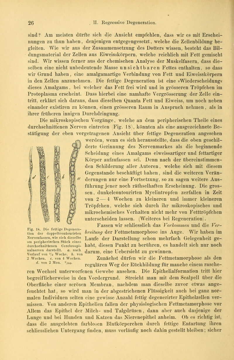 sind? Am meisten dürfte sich die Ansicht empfehlen, dass wir es mit Erschei- nungen zu thun haben, denjenigen entgegengesetzt, welche die Zellenbildung be- gleiten. Wie wir aus der Zusammensetzung des Dotters wissen, bestellt das Bil- dungsmaterial der Zellen aus Eiweisskörpern. welche reichlich mit Fett gemischt sind. Wir wissen ferner aus der chemischen Analyse der Muskelfasern, dass die- selben eine nicht unbedeutende Masse unsichtbaren Fettes enthalten, so dass wir Grund haben, eine amalgamartige Verbindung von Fett und Eiweisskörpern in den Zellen anzunehmen. Die fettige Degeneration ist eine »Wiederscheidung« dieses Amalgams. bei welcher das Fett frei wird und in grösseren Tröpfchen im Protoplasma erscheint. Dass hierbei eine namhafte Vergrösserung der Zelle ein- tritt, erklärt sich daraus, dass dieselben Quanta Fett und Eiweiss, um noch neben einander existiren zu können, einen grösseren Raum in Anspruch nehmen, als in ihrer früheren innigen Durchdringung. Die mikroskopischen Vorgänge, welche an dem peripherischen Theile eines durchschnittenen Nerven eintreten (Fig. 18), könnten als eine ausgezeichnete Be- stätigung der eben vorgetragenen Ansicht über fettige Degeneration angesehen werden, wenn es sich herausstellte, dass die oben geschil- derte Gerinnung des Nervenmarkes als die beginnende Scheidung eines Amalgams eiweissartiger und fettartiger Körper aufzufassen sei. Denn nach der übereinstimmen- den Schilderung aller Autoren, welche sich mit diesem Gegenstande beschäftigt haben, sind die weiteren Verän- derungen nur eine Fortsetzung, so zu sagen weitere Aus- führung jener noch räthselhaften Erscheinung. Die gros- sen, dunkelcontourirten Myelintropfen zerfallen in Zeit von 2 — 4 Wochen zu kleineren und immer kleineren Tröpfchen, welche sich durch ihr mikroskopisches und mikrochemisches Verhalten nicht mehr von Fetttröpfchen unterscheiden lassen. (Weiteres bei Regeneration). Fassen wir schliesslich das Vorkommen und die Ver- breitung der Fettmetamorphose ins Auge. Wir haben im Nervenfasern, wie sich dieselbe Laufe der Darstellung schon mehrfach Gelegenheit ge- am peripherischen Stück eines t a u. • i 1 durchschnittenen Cerebrospi- habt, diesen Punkt zu berühren, es handelt sich nur noch nalnerven darstellt «nach c]arum ejne Uebersicht ZU gewinnen. Verlauf von 72 Woche. 0. von ' ° 2 Wochen, c. von 4 Wochen. Zunächst dürfen wir die Fettmetamorphose als den d. von 2 Mon. i|30ff. regulären Weg der Rückbildung für manche einem rasche- ren Wechsel unterworfenen Gewebe ansehen. Die Epithelialformation tritt hier begreiflicherweise in den Vordergrund. Streicht man mit dem Scalpell über die Oberfläche einer serösen Membran, nachdem man dieselbe zuvor etwas ange- feuchtet hat, so wird man in der abgestrichenen Flüssigkeit auch bei ganz nor- malen Individuen selten eine gewisse Anzahl fettig degenerirter Epithelzellen ver- missen. Von anderen Epithelien fallen der physiologischen Fettmetamorphose vor Allem das Epithel der Milch- und Talgdrüsen, dann aber auch dasjenige der Lunge und bei Hunden und Katzen das Nierenepithel anheim. Ob es richtig ist, dass die ausgelebten farblosen Blutkörperchen durch fettige Entartung ihren schliesslichen Untergang finden, muss vorläufig noch dahin gestellt bleiben; sicher Fig. 18. Die fettige Degenera- tion der doppeltcontourirten