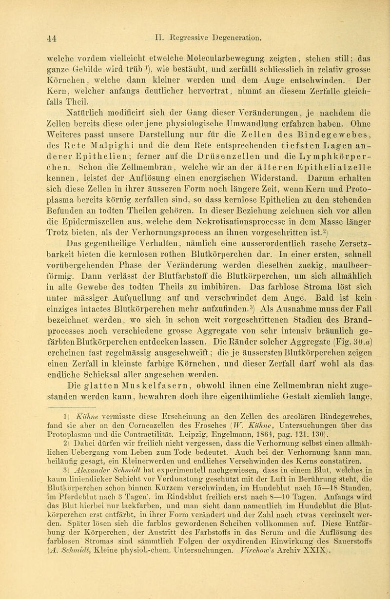 welche vordem vielleicht etwelche Molecularbewegung zeigten, stehen still; das ganze Gebilde wird trüb '), wie bestäubt, und zerfällt schliesslich in relativ grosse Körnchen, welche dann kleiner werden und dem Auge entschwinden. Der Kern, welcher anfangs deutlicher hervortrat, nimmt an diesem Zerfalle gleich- falls Theil. Natürlich modificirt sich der Gang dieser Veränderungen, je nachdem die Zellen bereits diese oder jene physiologische Umwandlung erfahren haben. Ohne Weiteres passt unsere Darstellung nur für die Zellen des Bindegewebes, des Kete Malpighi und die dem Eete entsprechenden tiefsten Lagen an- derer Epithelien; ferner auf die Drüsenzellen und die Lymphkörper- chen. Schon die Zellmembran, welche wir an der älteren Epithelialzelle kennen, leistet der Auflösung einen energischen Widerstand. Darum erhalten sich diese Zellen in ihrer äusseren Form noch längere Zeit, wenn Kern und Proto- plasma bereits körnig zerfallen sind, so dass kernlose Epithelien zu den stehenden Befunden an todten Theilen gehören. In dieser Beziehung zeichnen sich vor allen die Epidermiszellen aus, welche dem Nekrotisationsprocesse in dem Masse länger Trotz bieten, als der Verhornungsprocess an ihnen vorgeschritten ist.2) Das gegentheilige Verhalten, nämlich eine ausserordentlich rasche Zersetz- barkeit bieten die kernlosen rothen Blutkörperchen dar. In einer ersten, schnell vorübergehenden Phase der Veränderung werden dieselben zackig, maulbeer- förmig. Dann verlässt der Blutfarbstoff die Blutkörperchen, um sich allmählich in alle Gewebe des todten Theils zu imbibiren. Das farblose Stroma löst sich unter massiger Aufquellung auf und verschwindet dem Auge. Bald ist kein einziges intactes Blutkörperchen mehr aufzufinden.3) Als Ausnahme muss der Fall bezeichnet werden, wo sich in schon weit vorgeschrittenen Stadien des Brand- processes Jioch verschiedene grosse Aggregate von sehr intensiv bräunlich ge- färbten Blutkörperchen entdecken lassen. Die Ränder solcher Aggregate (Fig. 30.a) ercheinen fast regelmässig ausgeschweift; die je äussersten Blutkörperchen zeigen einen Zerfall in kleinste farbige Körnchen, und dieser Zerfall darf wohl als das endliche Schicksal aller angesehen werden. Die glatten Muskelfasern, obwohl ihnen eine Zellmembran nicht zuge- standen werden kann, bewahren doch ihre eigenthümliche Gestalt ziemlich lange, 1) Kühne vermisste diese Erscheinung an den Zellen des areolären Bindegewebes, fand sie aber an den Corneazellen des Frosches (W. Kühne, Untersuchungen über das Protoplasma und die Contractilität. Leipzig, Engelmann, 1864, pag. 121. 130). 2) Dabei dürfen wir freilich nicht vergessen, dass die Verhornung selbst einen allmäh- lichen Uebergang vom Leben zum Tode bedeutet. Auch bei der Verhornung kann man, beiläufig gesagt, ein Kleinerwerden und endliches Verschwinden des Kerns constatiren. 3) Alexander Schmidt hat experimentell nachgewiesen, dass in einem Blut, welches in kaum liniendicker Schicht vor Verdunstung geschützt mit der Luft in Berührung steht, die Blutkörperchen schon binnen Kurzem verschwinden, im Hundeblut nach 15—18 Stunden, im Pferdeblut nach 3 Tagen, im Rindsblut freilich erst nach S—10 Tagen. Anfangs wird das Blut hierbei nur lackfarben, und man sieht dann namentlich im Hundeblut die Blut- körperchen erst entfärbt, in ihrer Form verändert und der Zahl nach etwas vereinzelt wer- den. Später lösen sich die farblos gewordenen Scheiben vollkommen auf. Diese Entfär- bung der Körperchen, der Austritt des Farbstoffs in das Serum und die Auflösung des farblosen Stromas sind sämmtlich Folgen der oxydirenden Einwirkung des Sauerstoffs (A. Schmidt, Kleine physiol.-chem. Untersuchungen. Virchmv's Archiv XXIX).